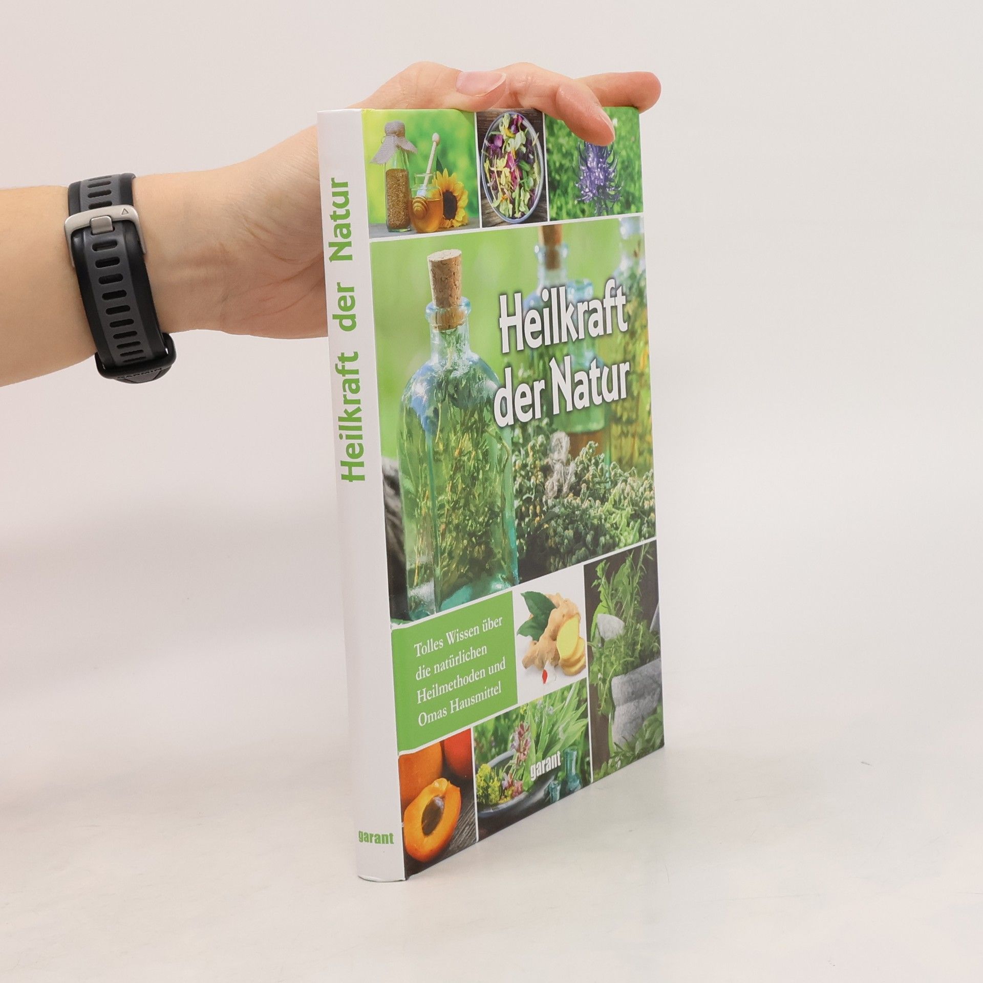 Susanne Lamprecht Heilkraft der Natur