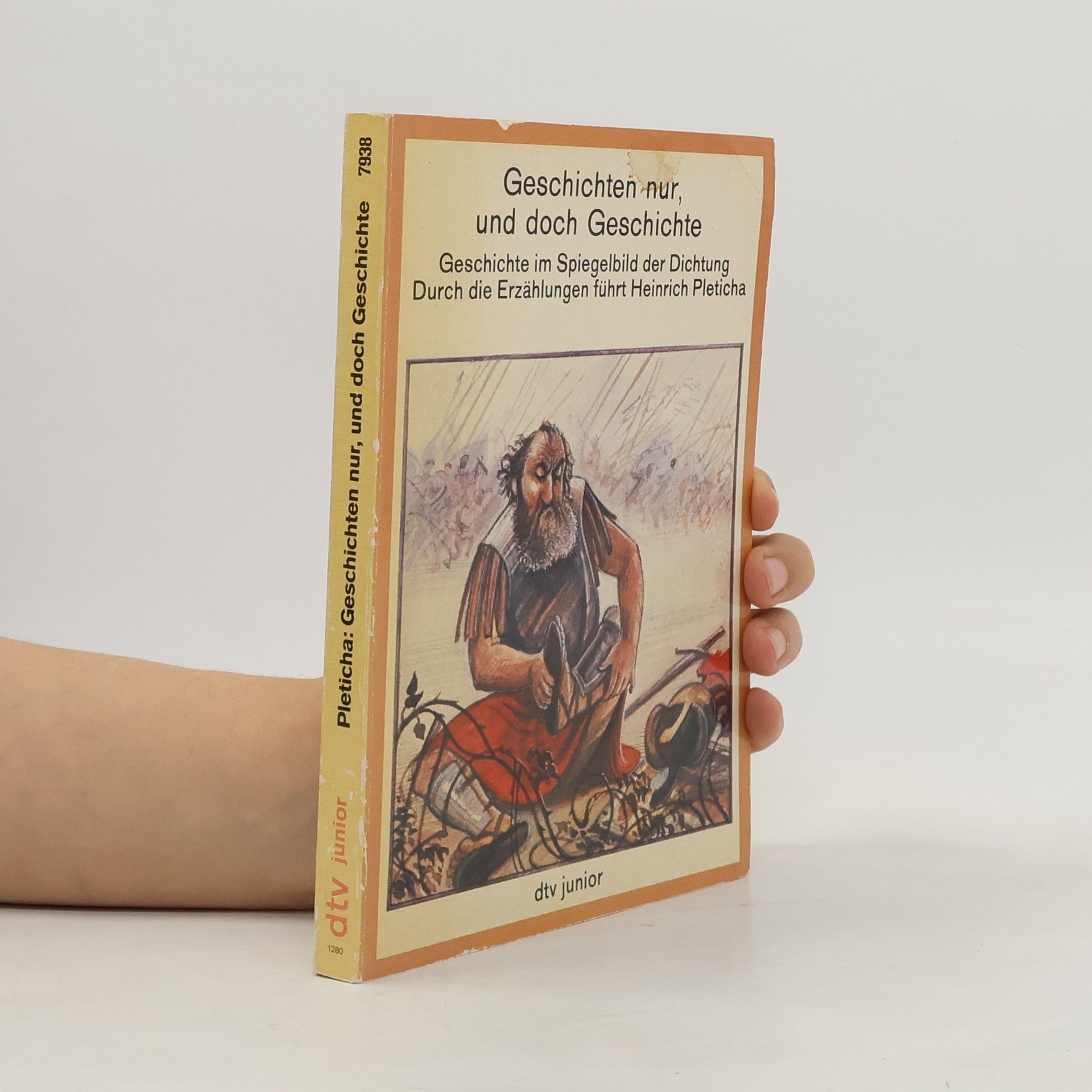Heinrich Pleticha dtv junior: Geschichten nur, und doch Geschichte