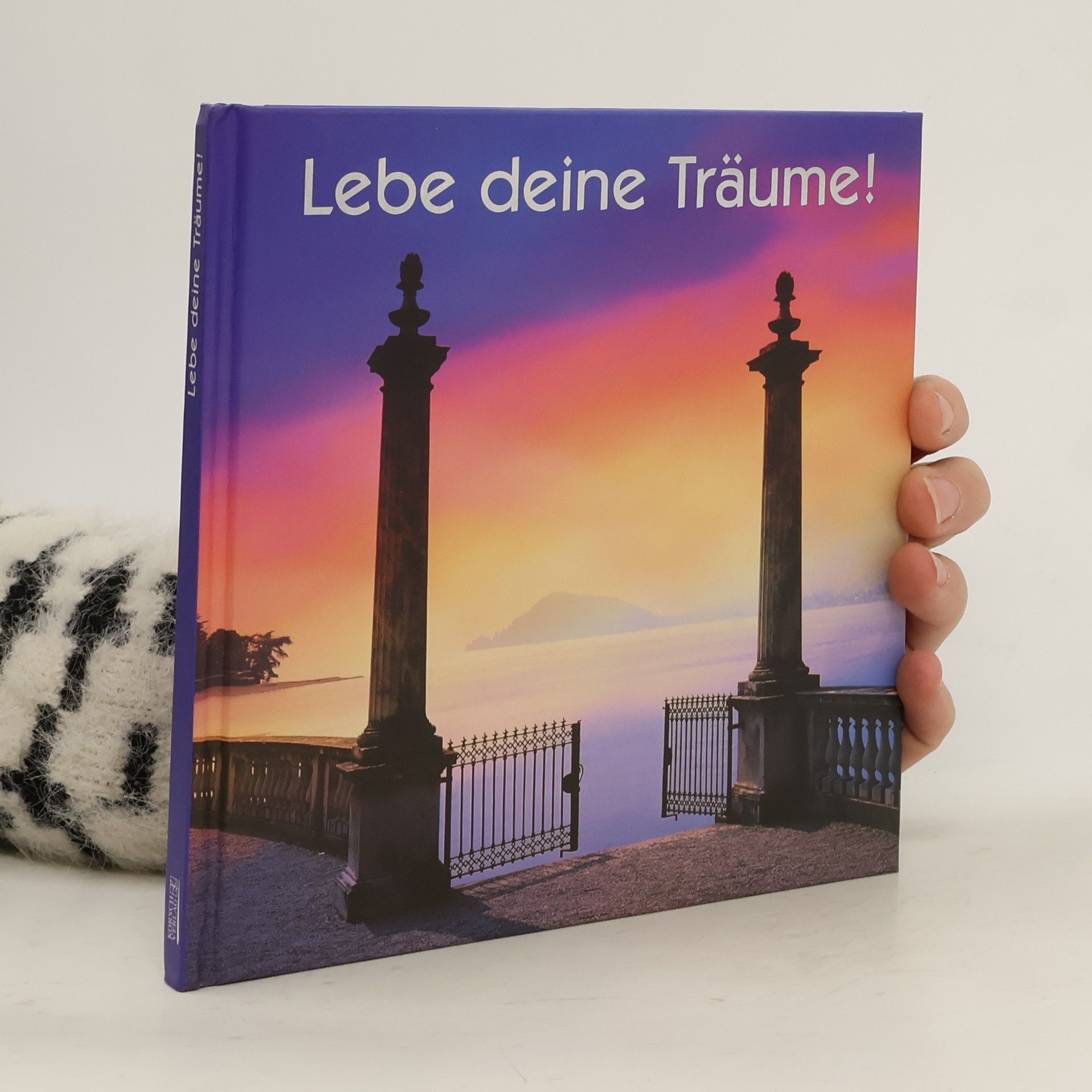 Autorenkollektiv Lebe deine Träume!