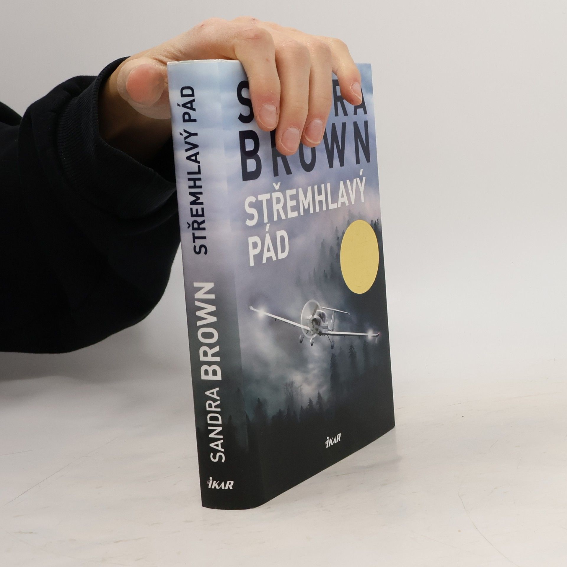 Sandra Brown Střemhlavý pád