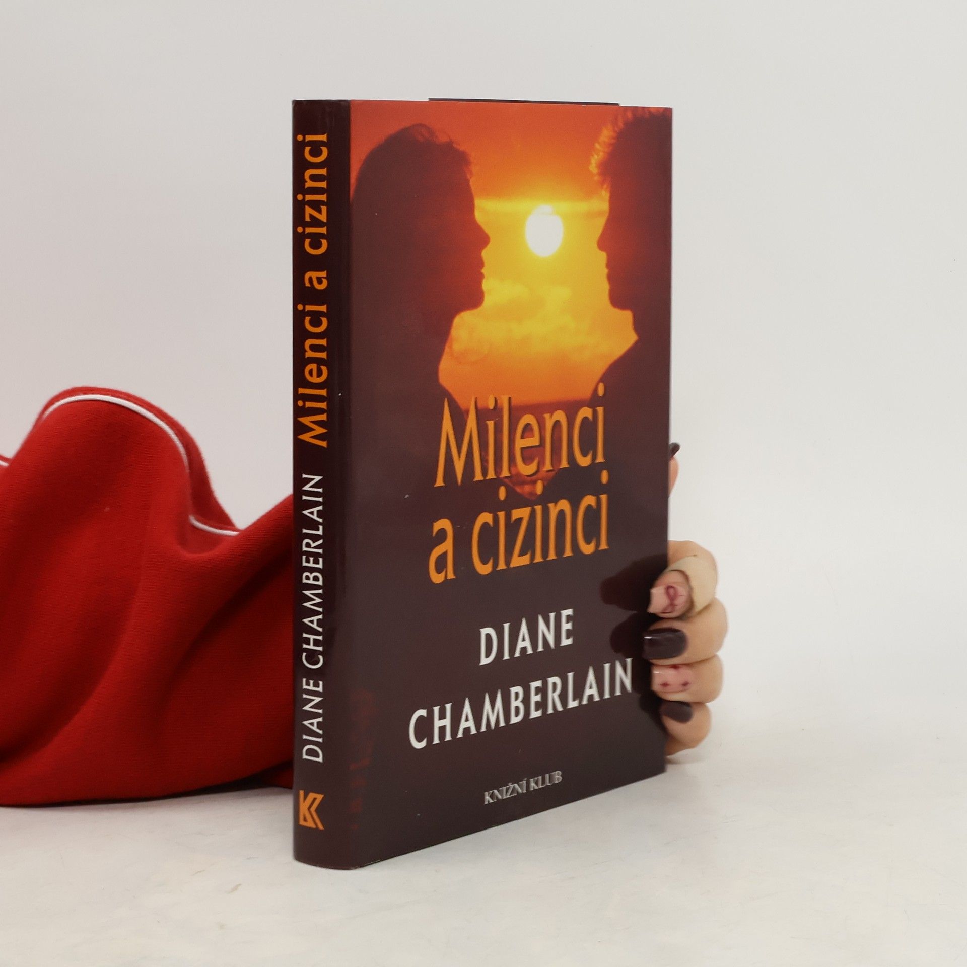 Diane Chamberlain Milenci a cizinci