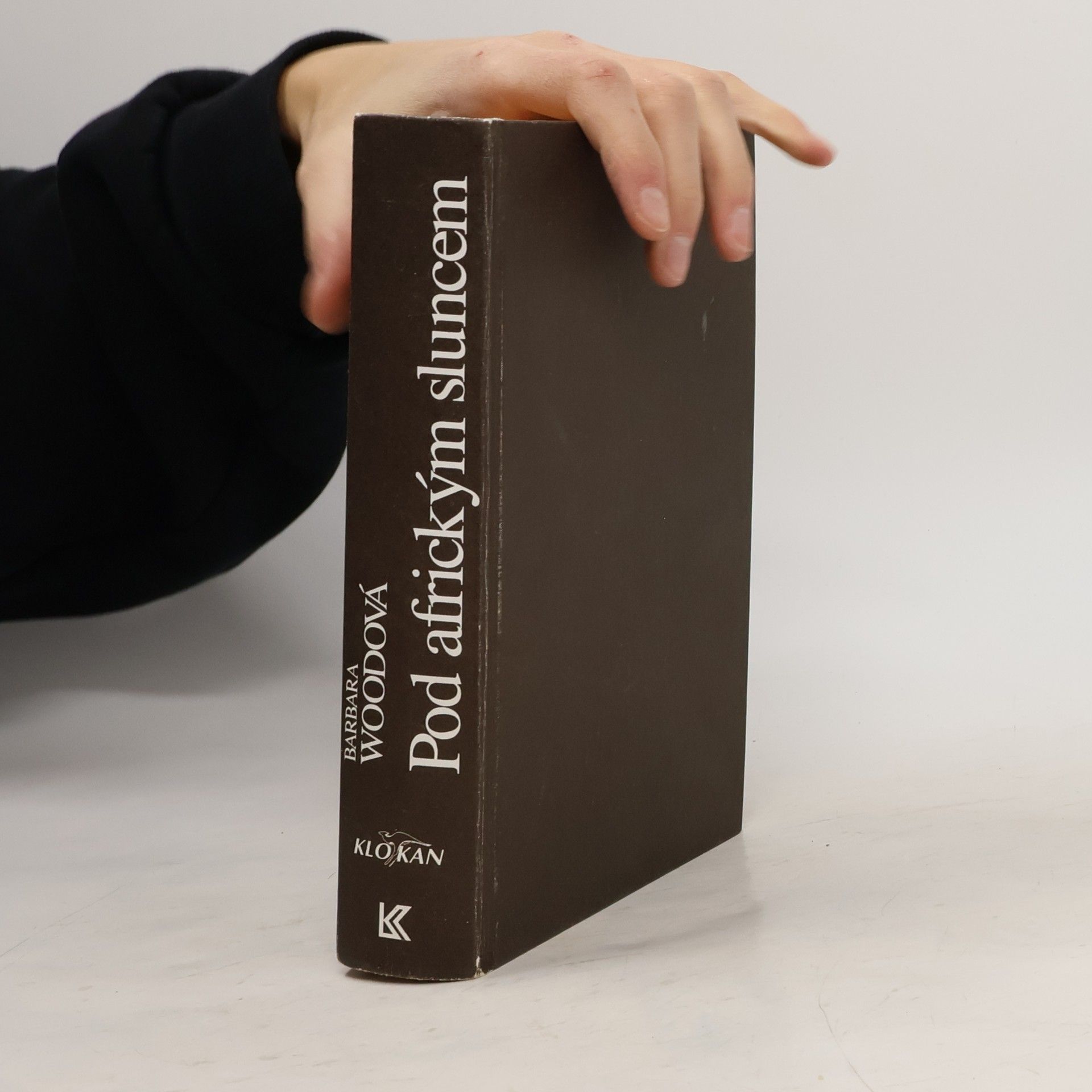 Barbara Wood Pod africkým sluncem