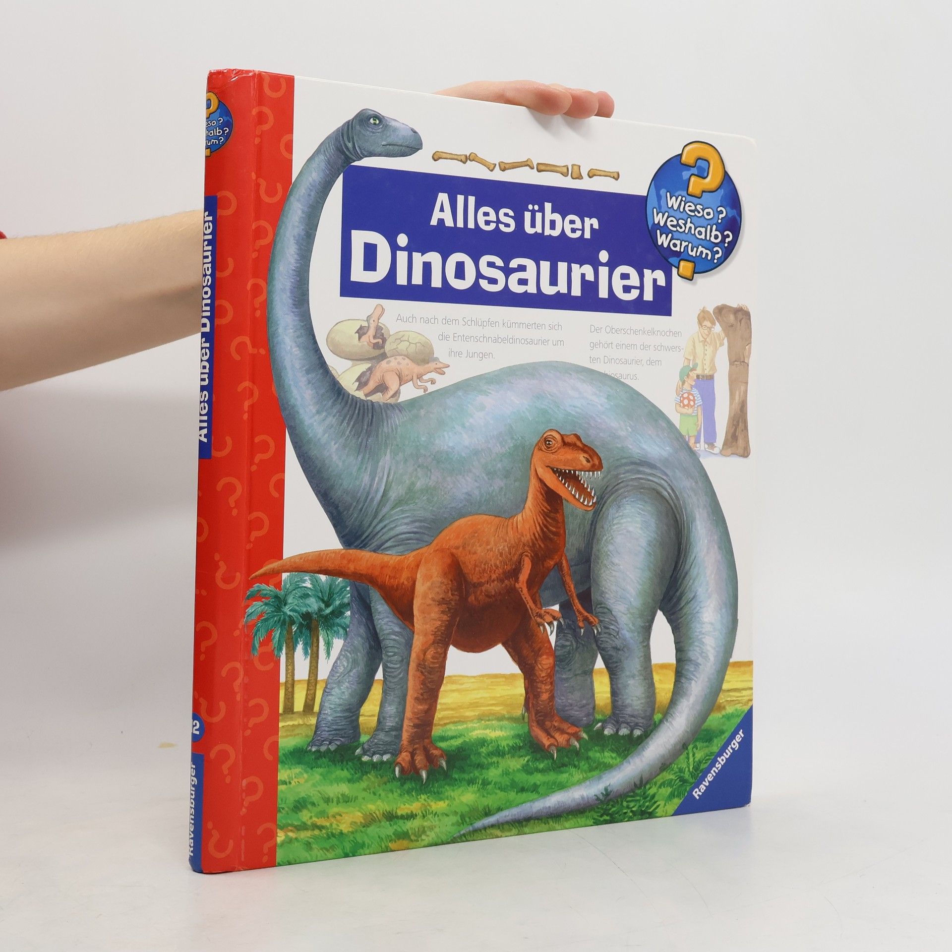 Patricia Mennen Alles über Dinosaurier
