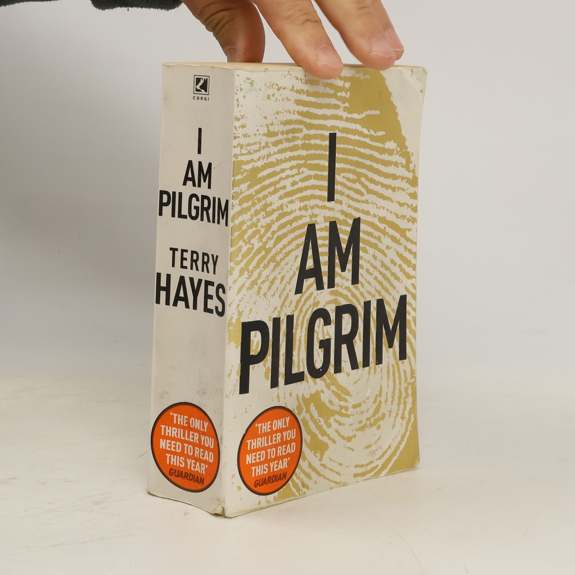 Terry Hayes I am Pilgrim