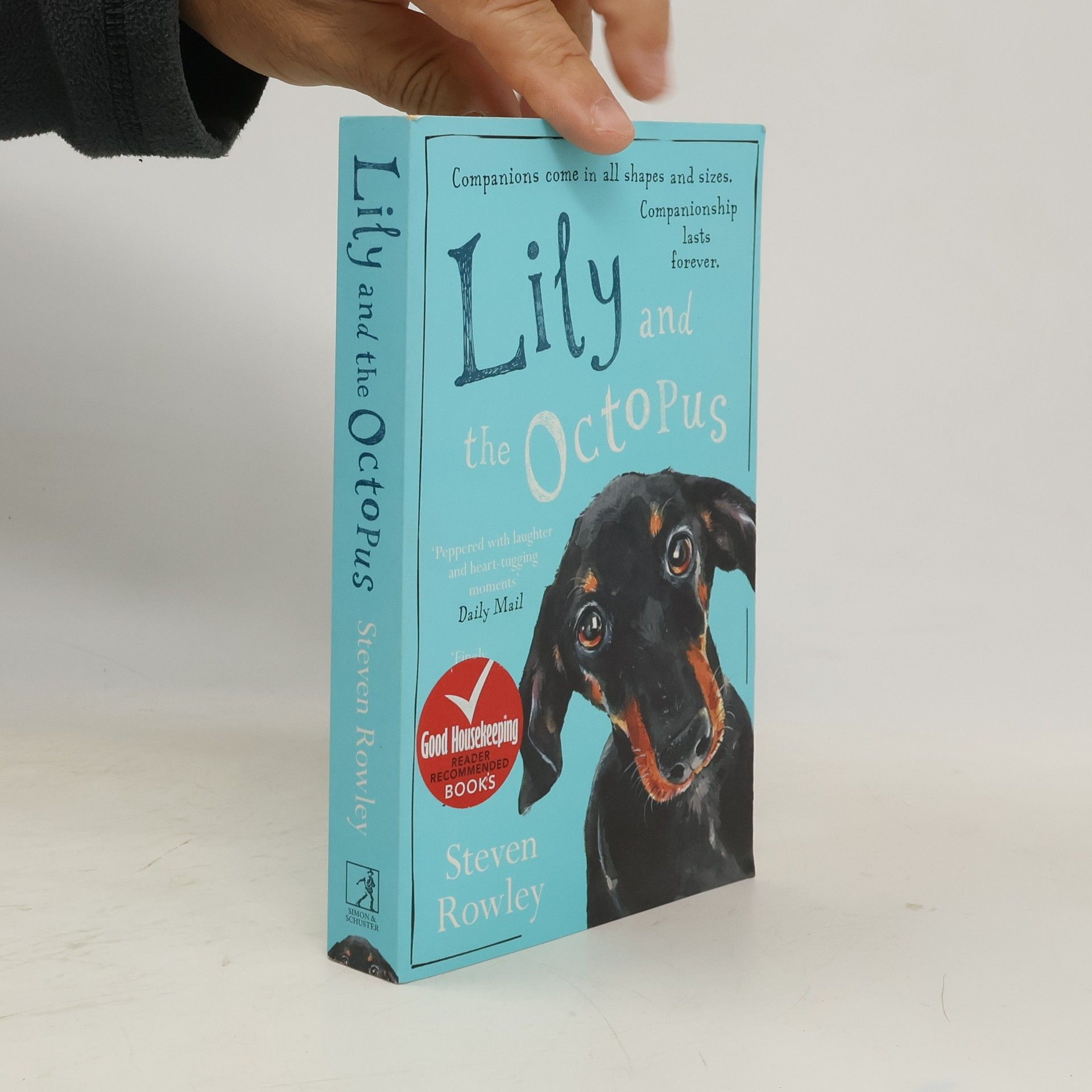 Steven Rowley Lily and the Octopus