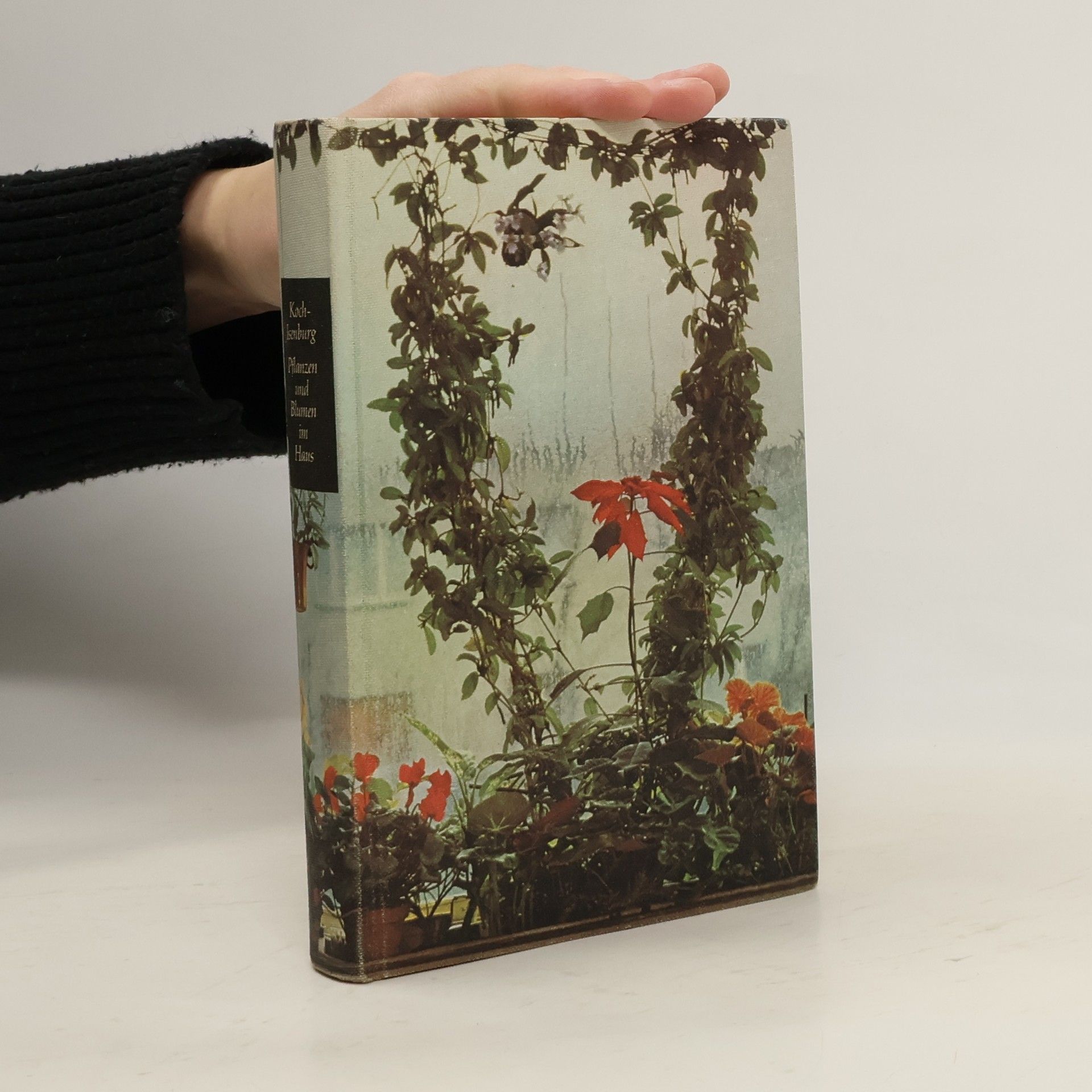 Pflanzen und Blumen im Haus