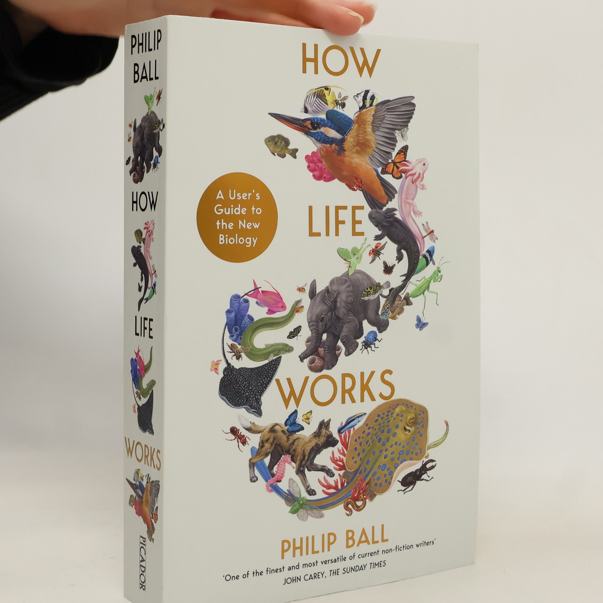 Philip Ball How Life Works