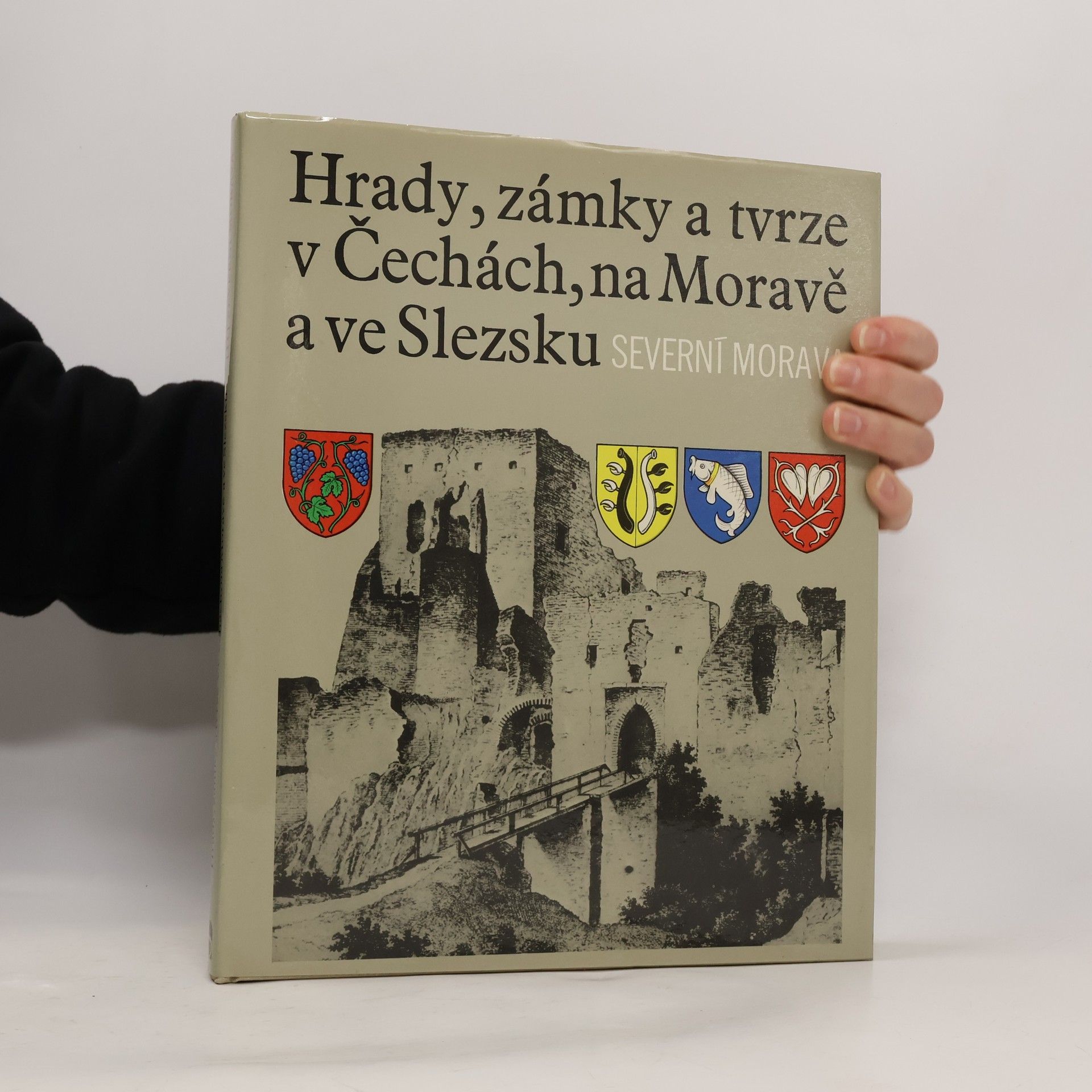 Kolektiv autorů Hrady, zámky a tvrze v Čechách, na Moravě a ve Slezsku I. Jižní Morava