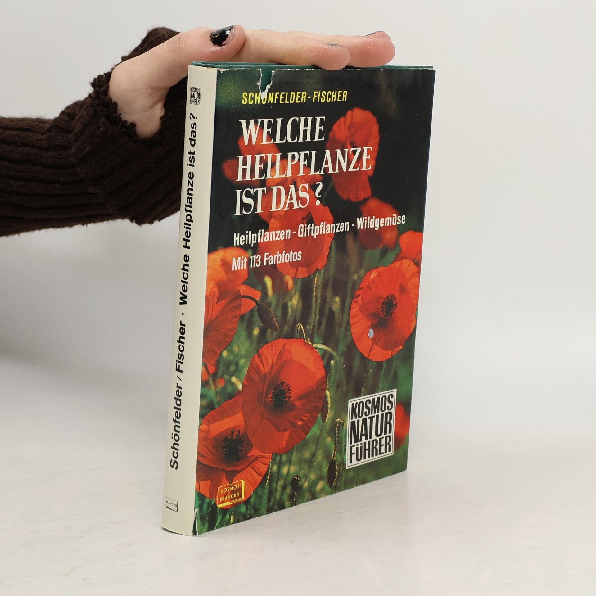 Welche Heilpflanze ist das?