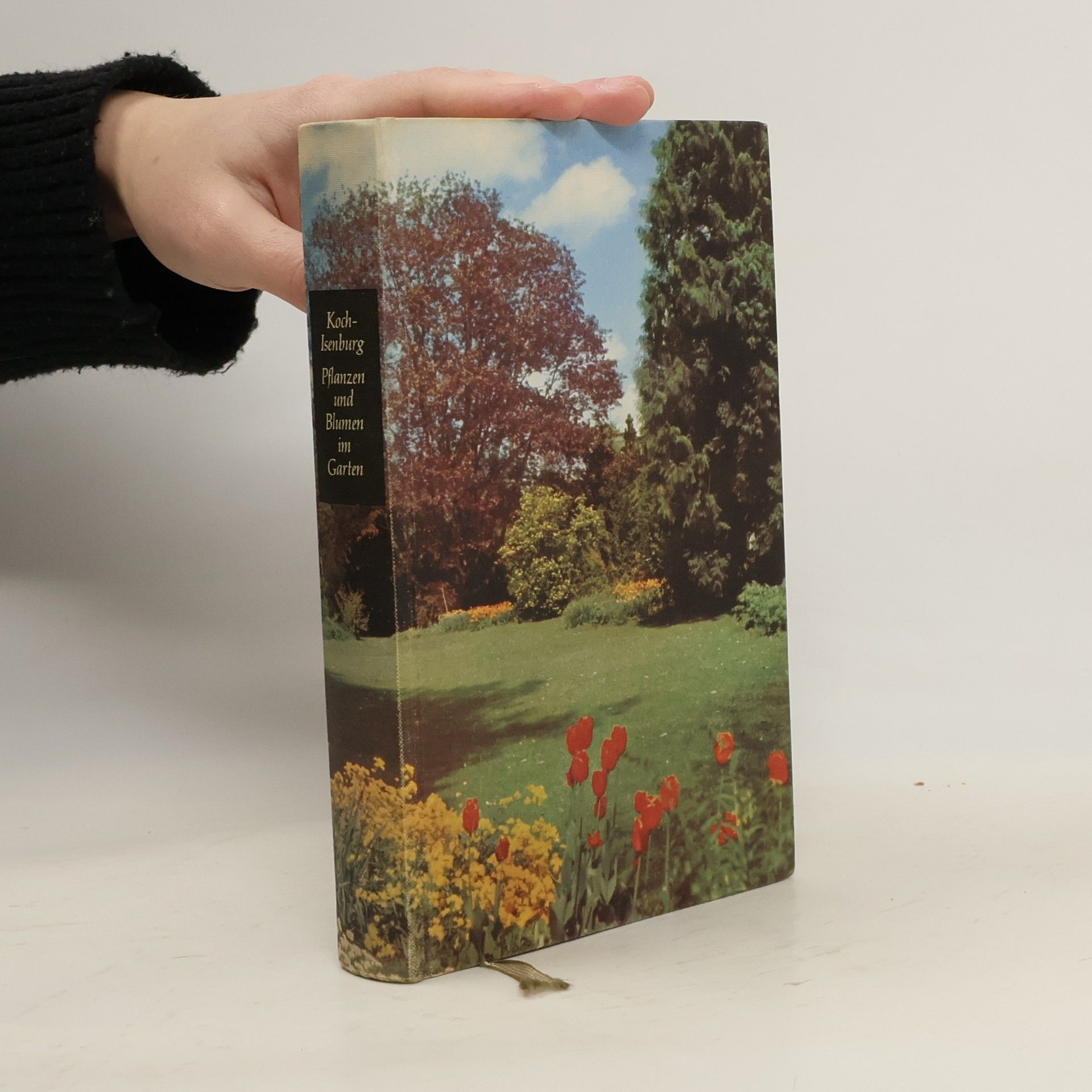 Blumen und Pflanzen im Garten