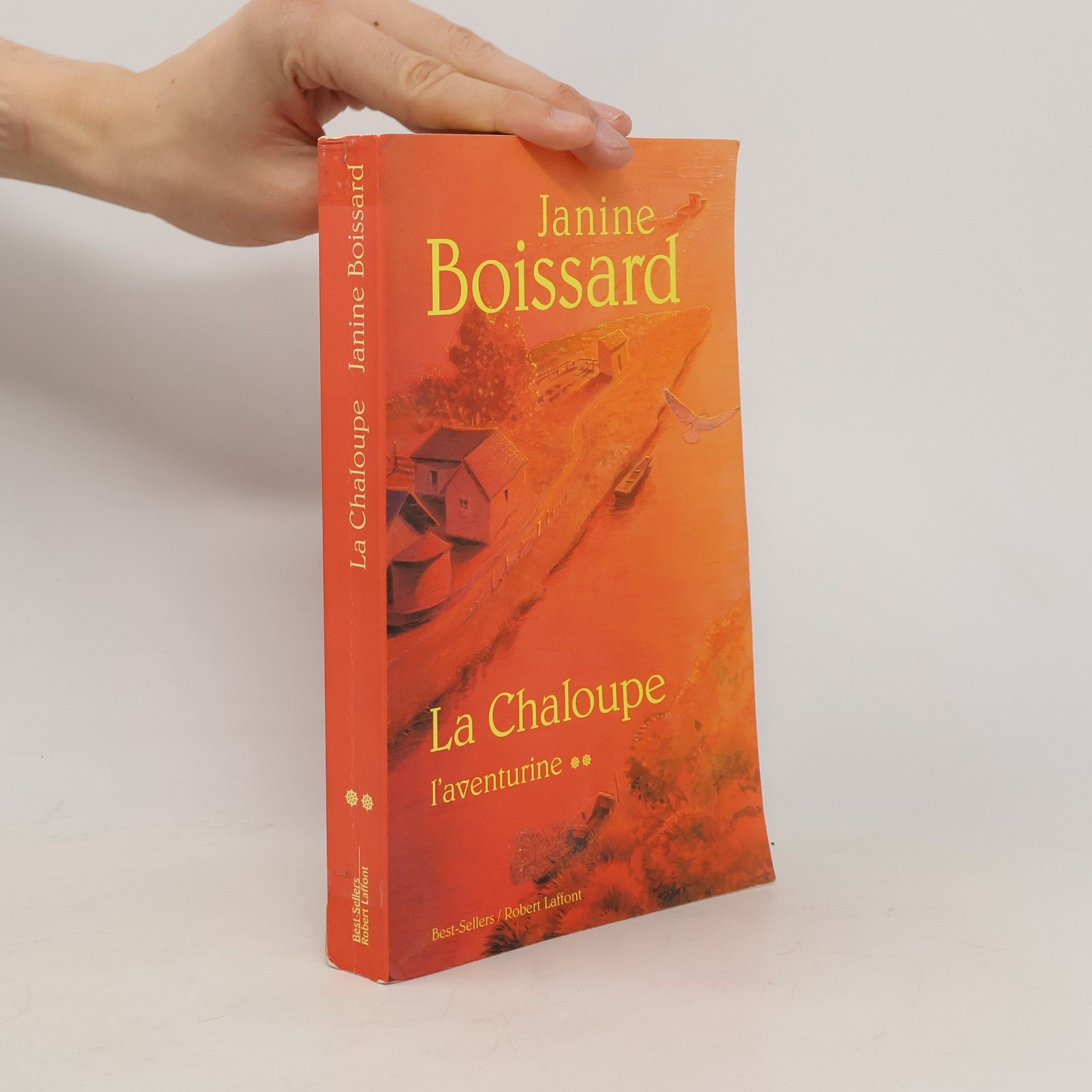 Janine Boissard L'aventurine