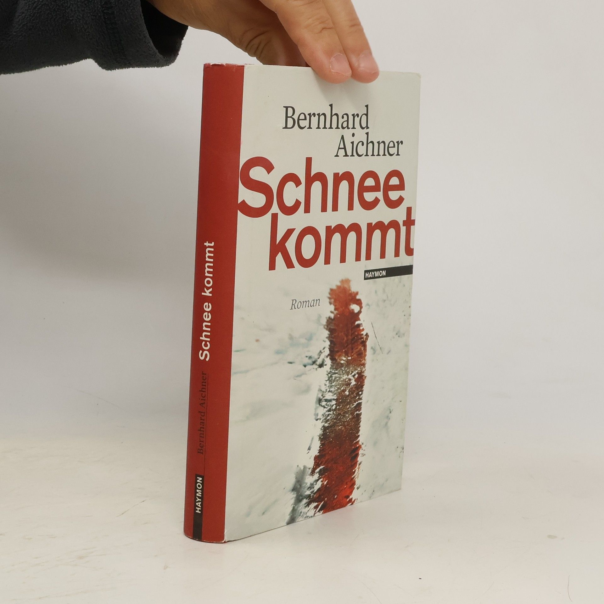 Bernhard Aichner Schnee kommt