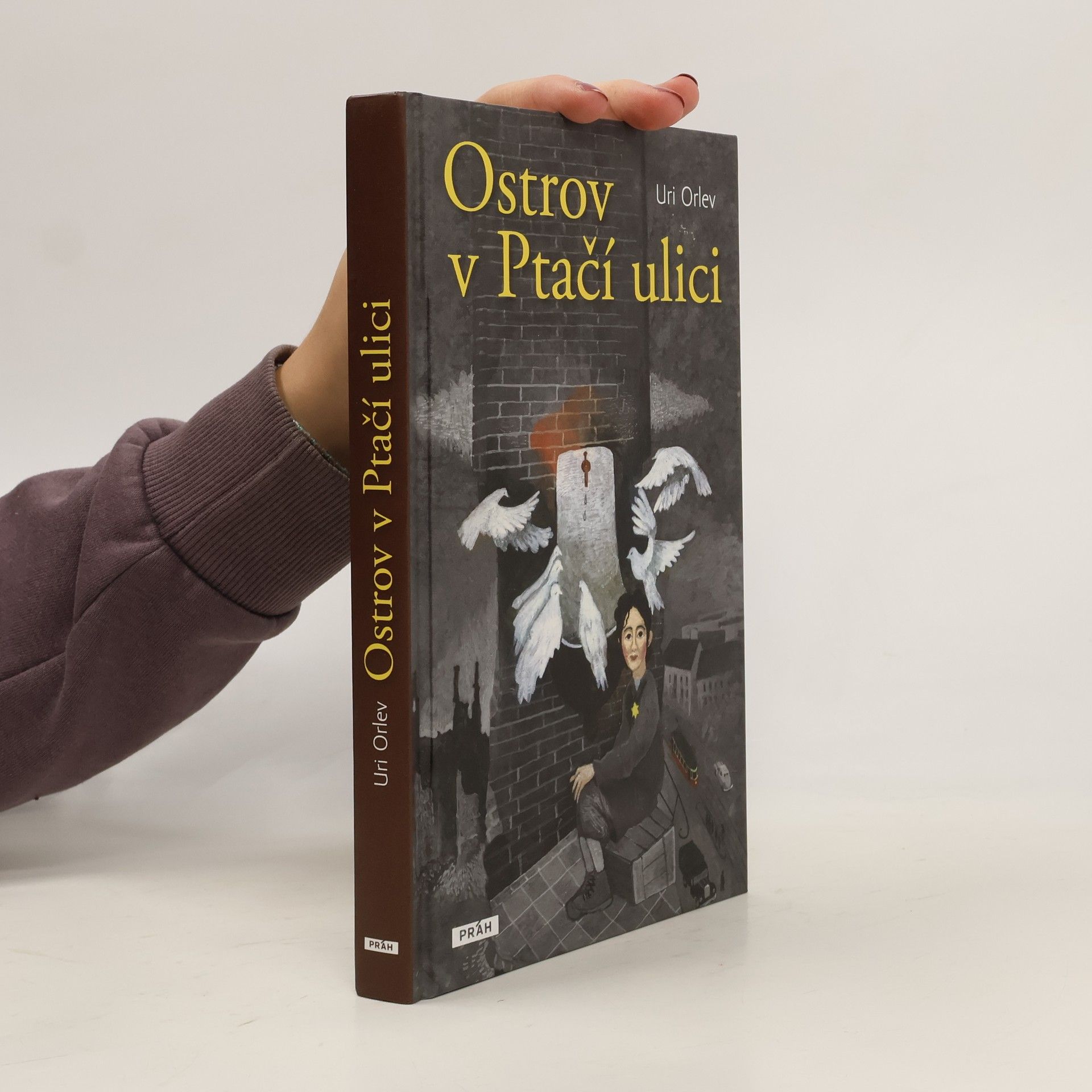 Ostrov v Ptačí ulici