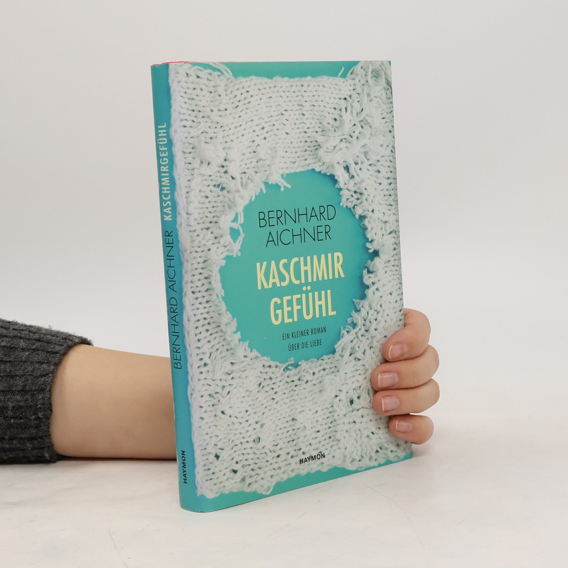 Bernhard Aichner Kaschmirgefühl