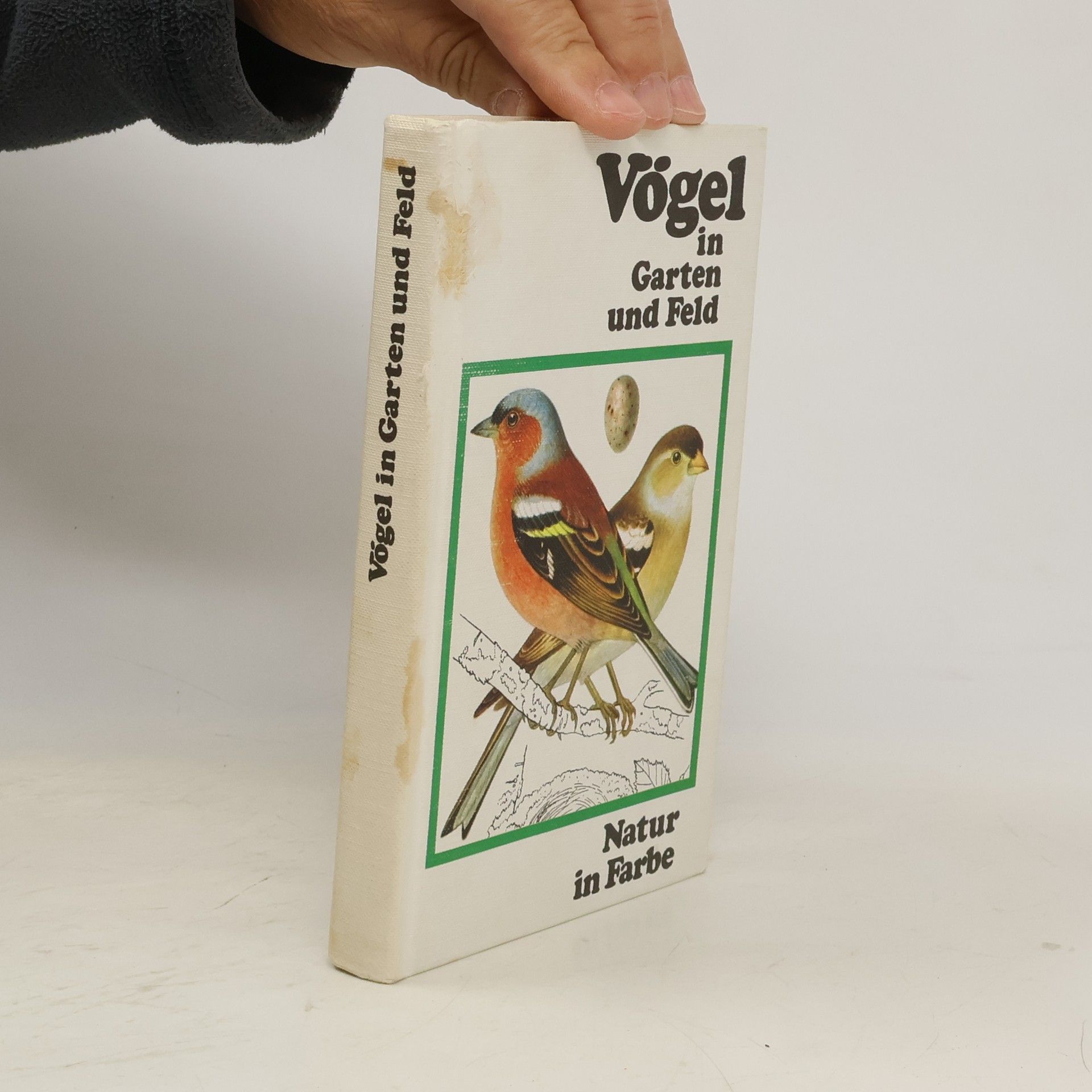 Vögel in Garten und Feld