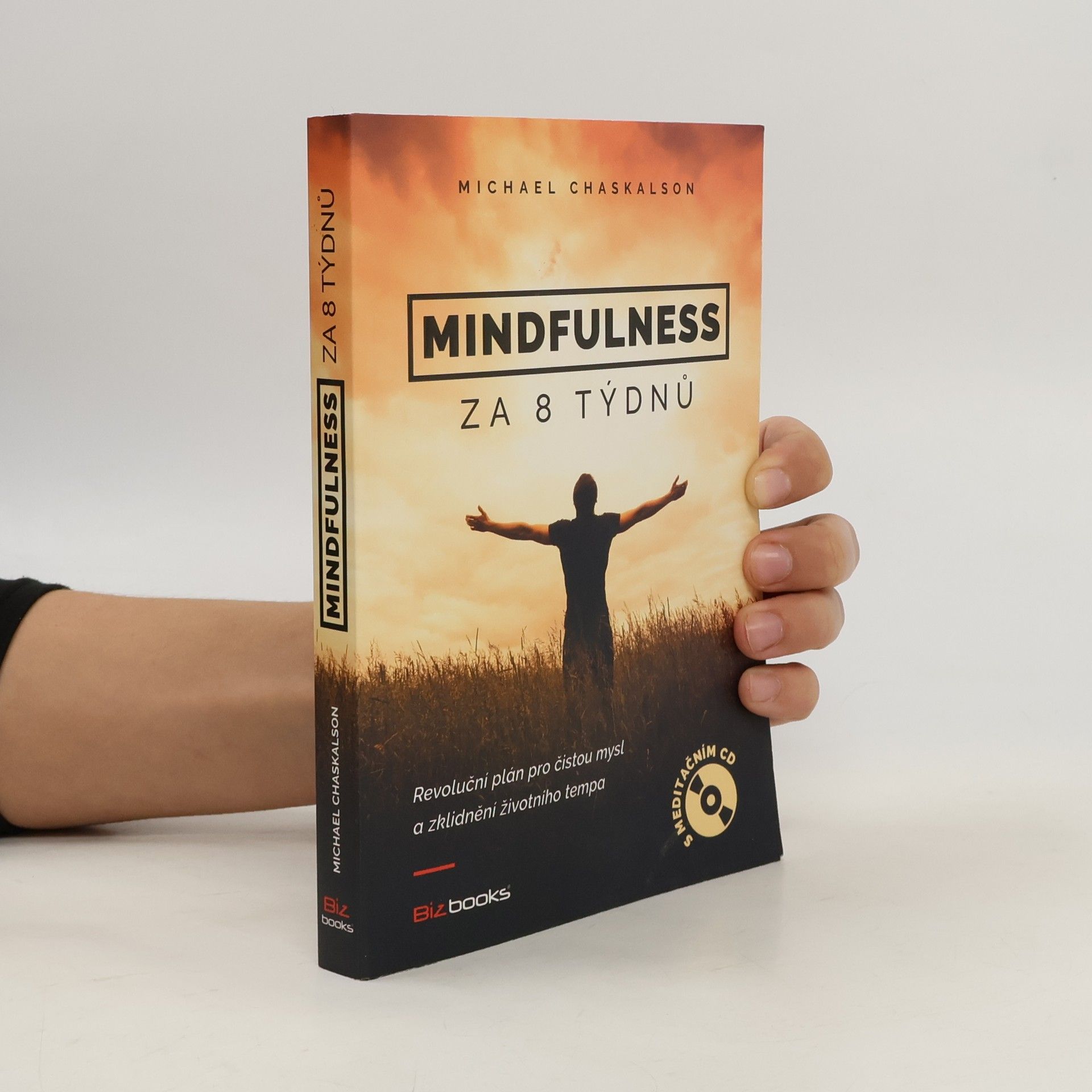 Michael Chaskalson Mindfulness za 8 týdnů. Revoluční plán pro čistou mysl a zklidnění životního tempa