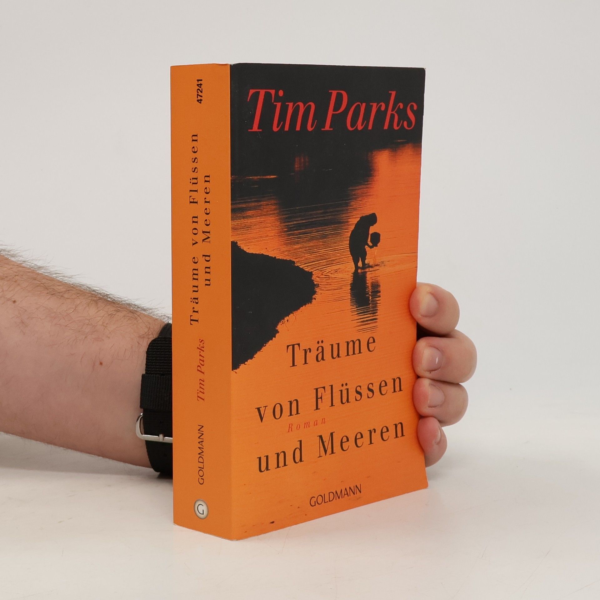Tim Parks Träume von Flüssen und Meeren