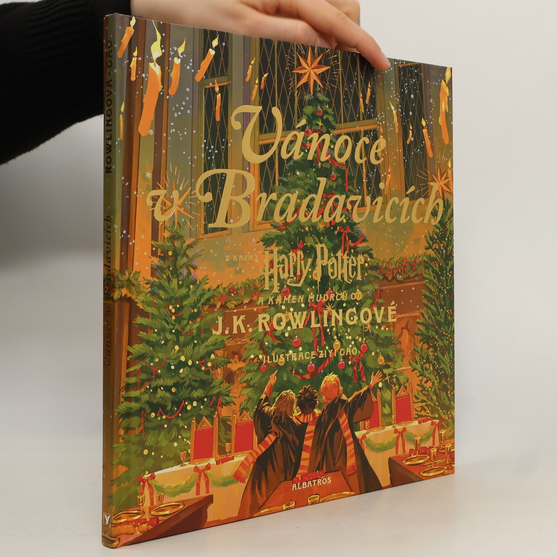J. K. Rowling Vánoce v Bradavicích