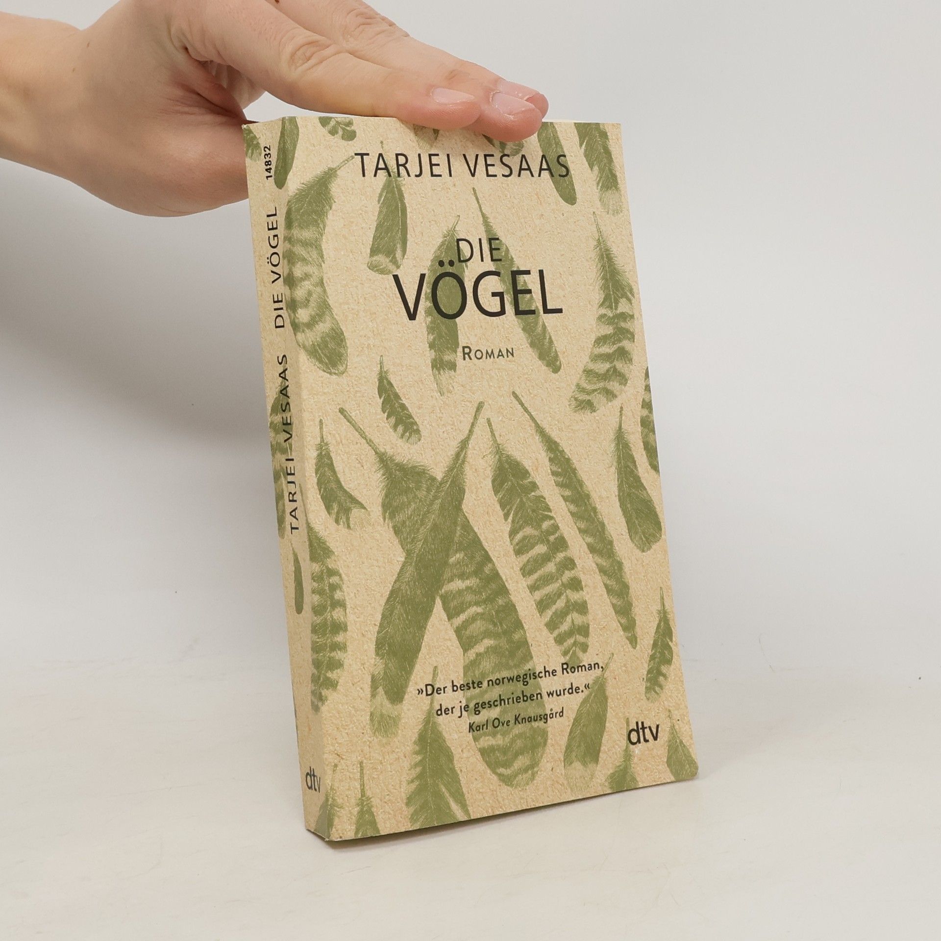 Tarjei Vesaas Die Vögel