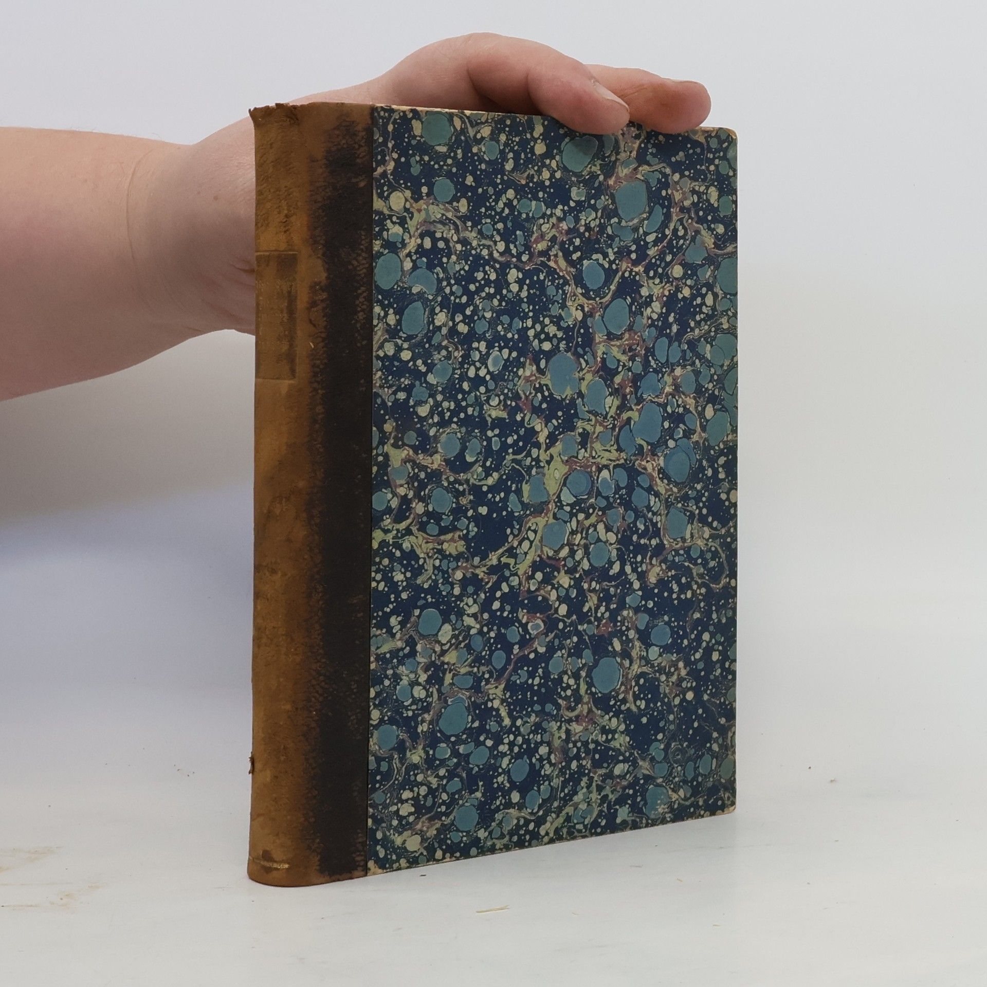 Florentinische Erinnerungen