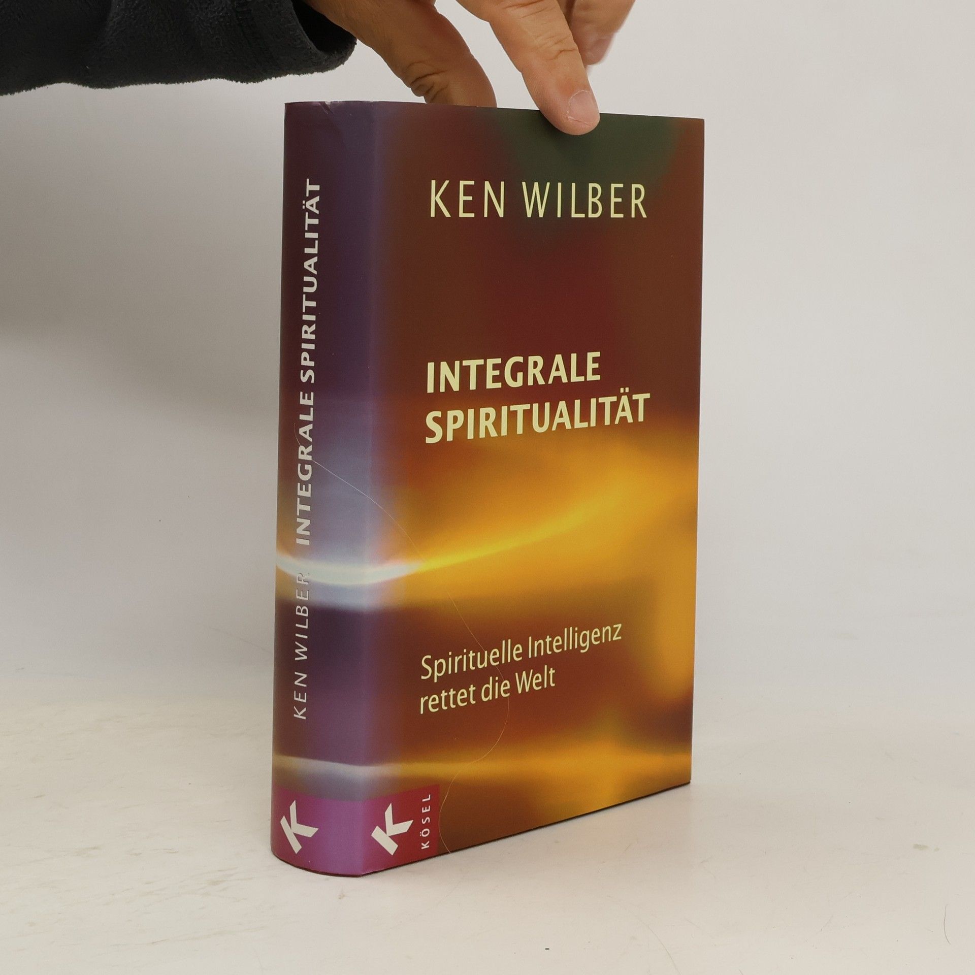 Ken Wilber Integrale Spiritualität