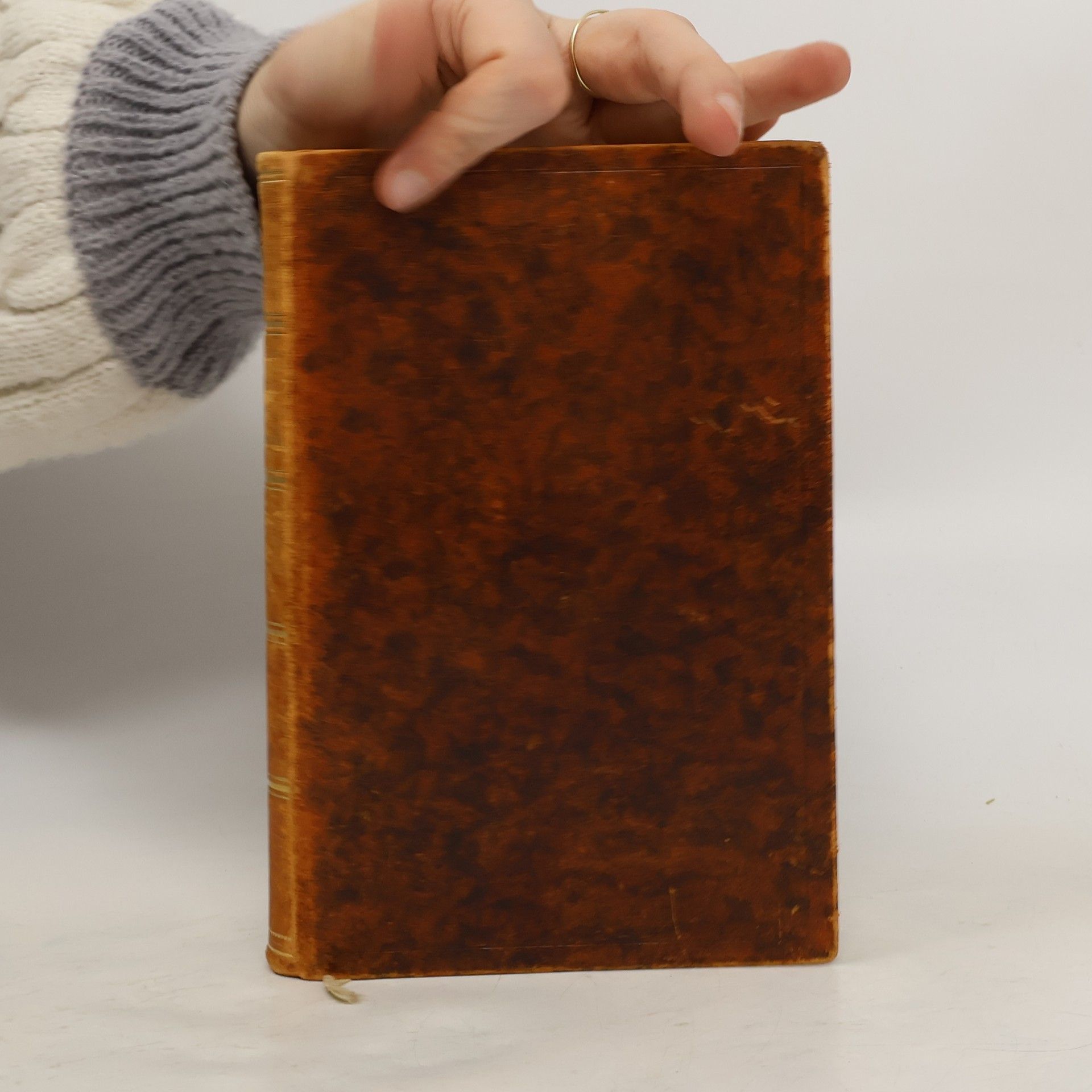 Heinrich Heine Buch der Lieder neue Gedichte