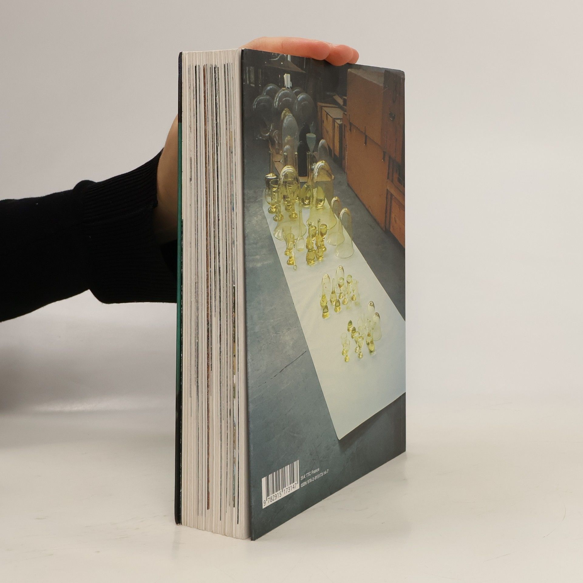 Autorenkollektiv L' artiste, l'atelier, le verre