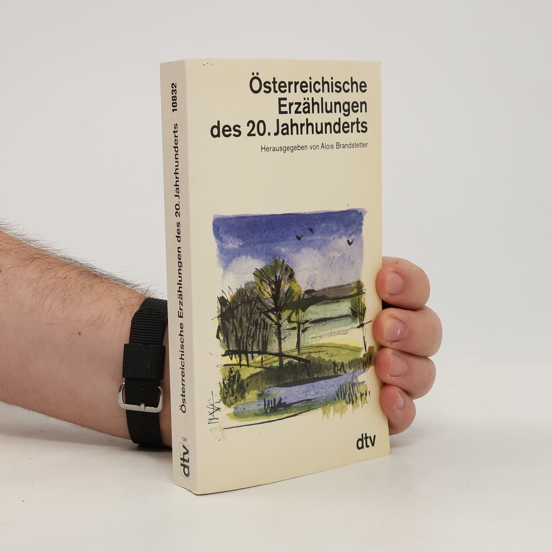 Alois Brandstetter Österreichisches Erzählungen des 20. Jahrhunderts