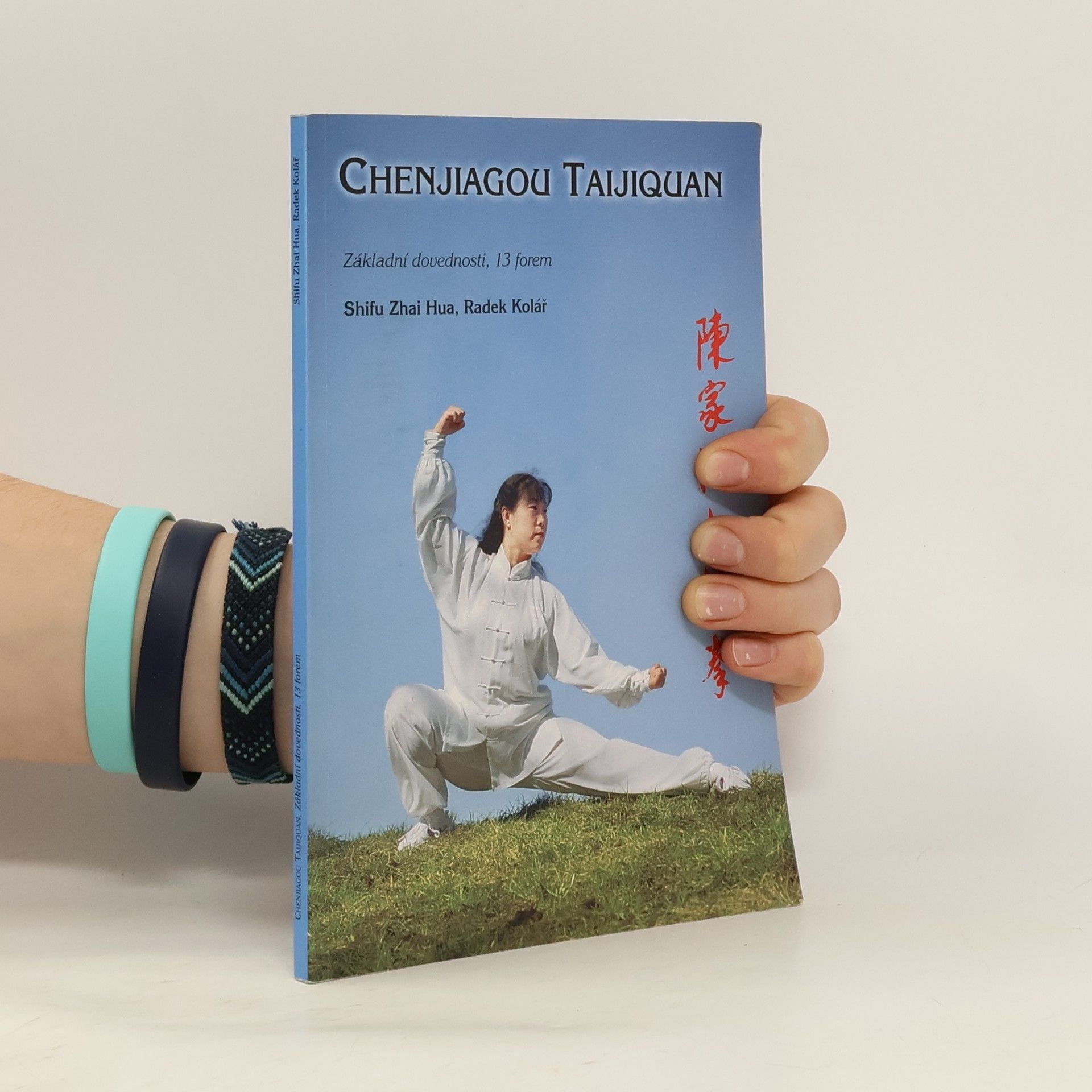 Shifu Zhai Hua Chenjiagou Taijiquan. Základní dovednosti, třináct forem