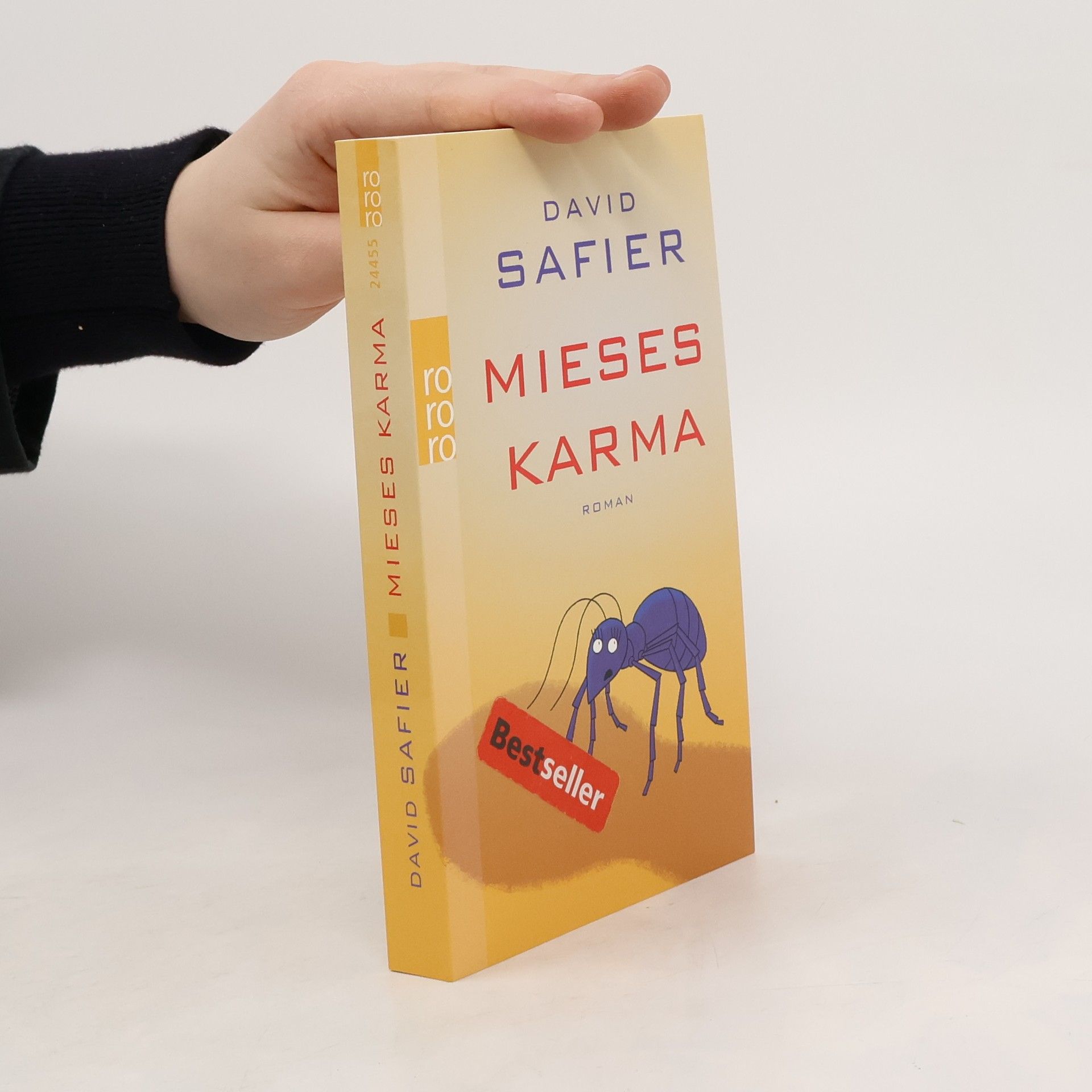 David Safier Mieses Karma
