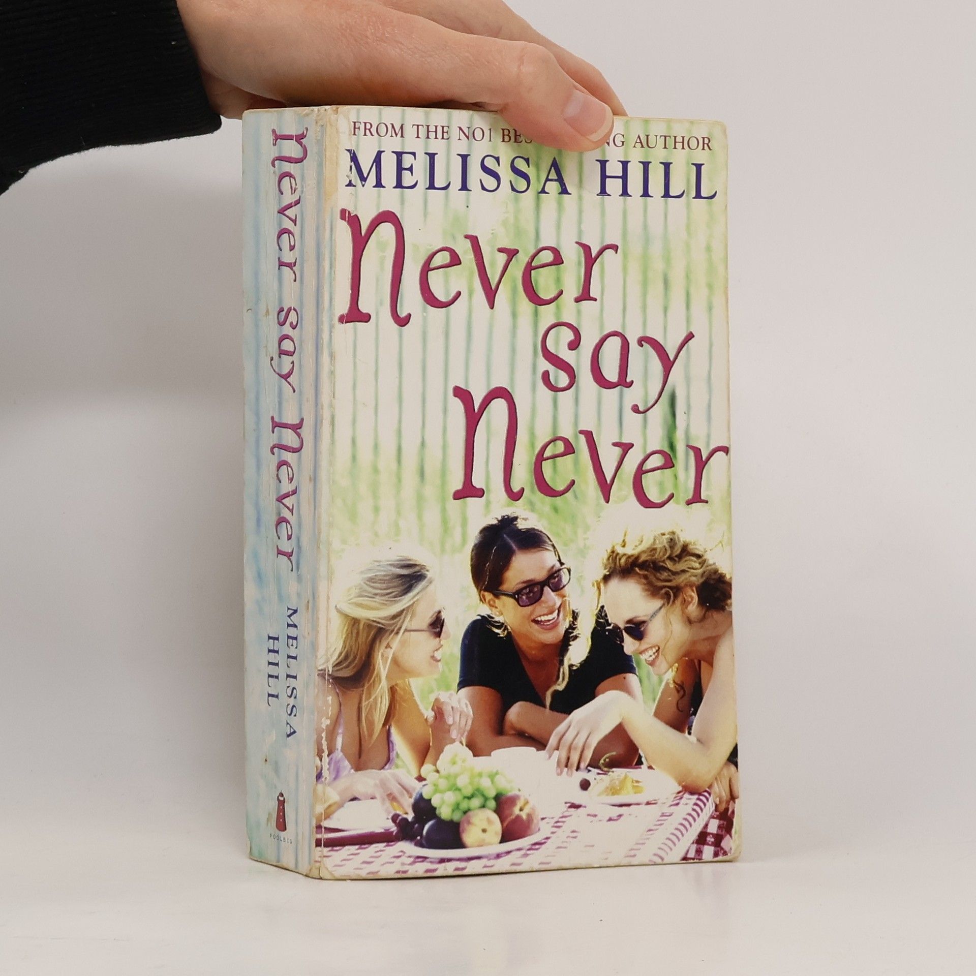 Melissa Hill Never Say Never