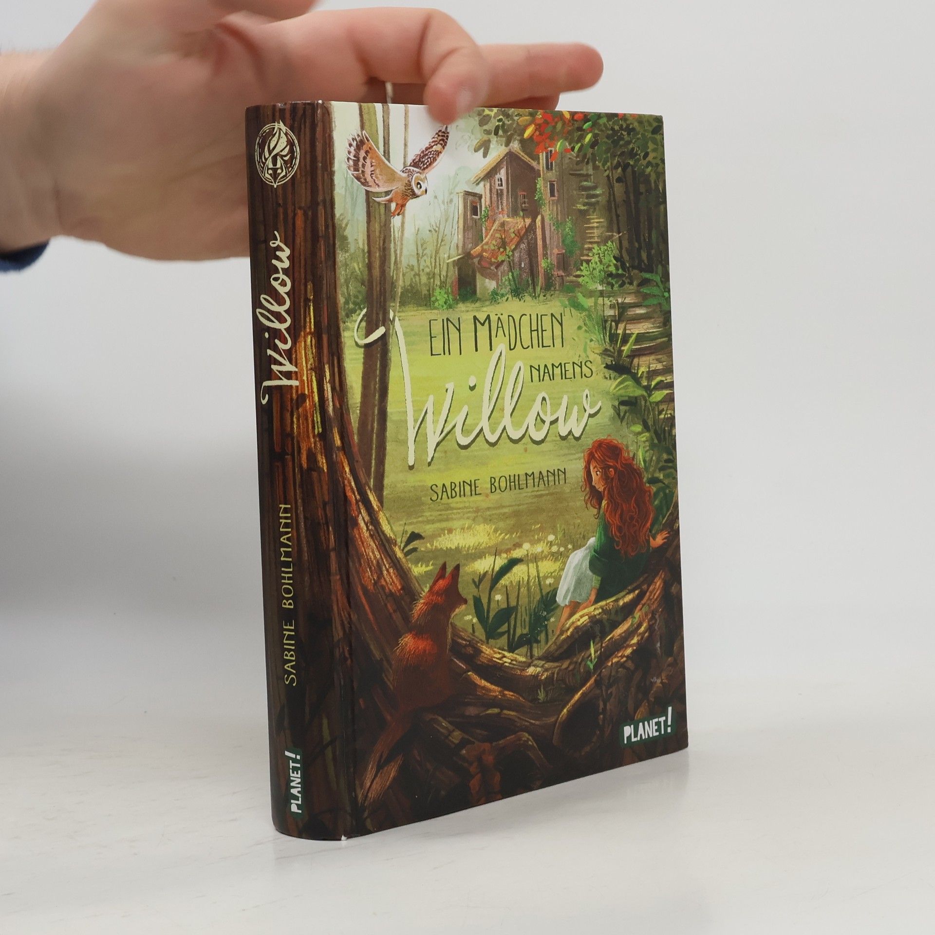 Sabine Bohlmann Ein Mädchen namens Willow