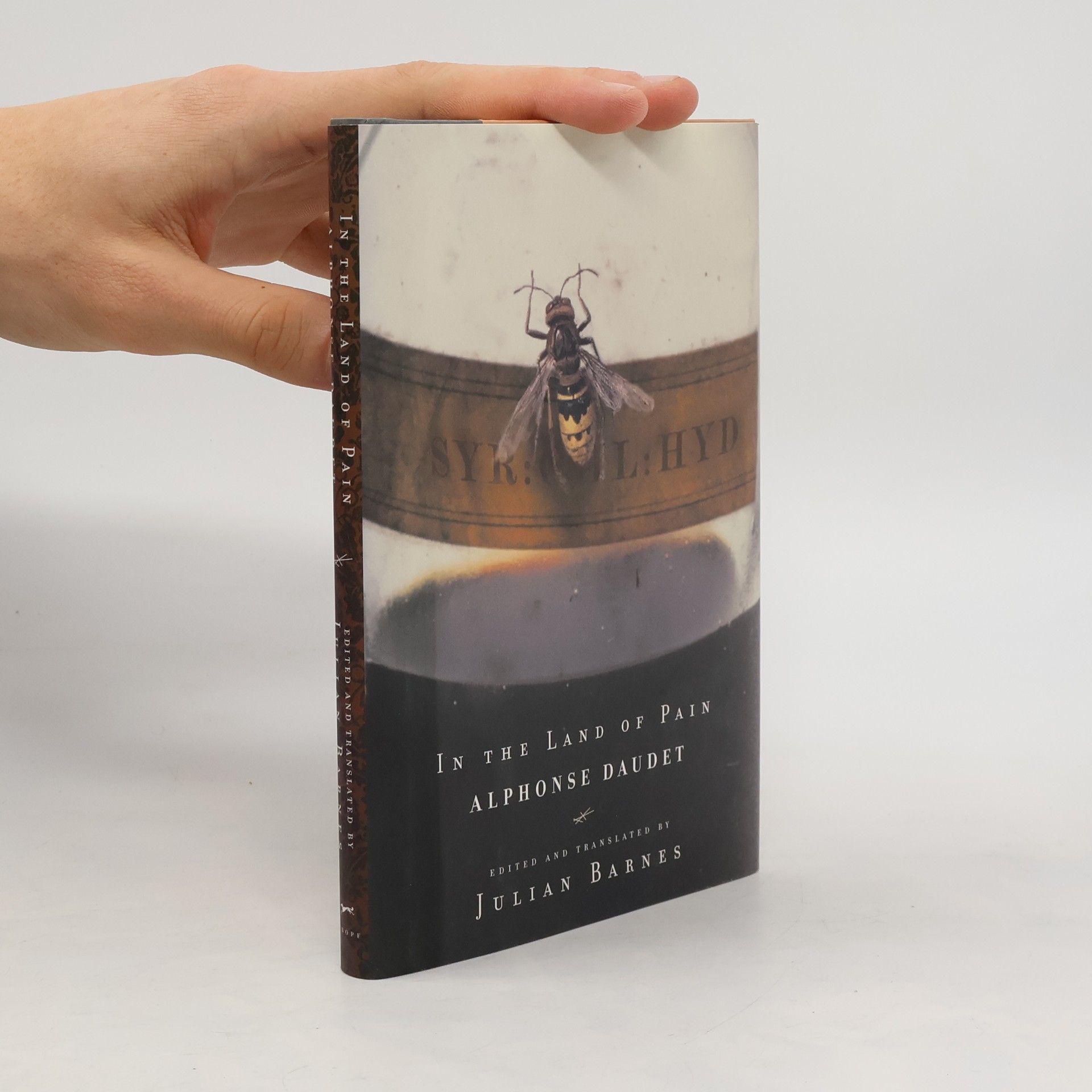 Julian Barnes In the Land of Pain