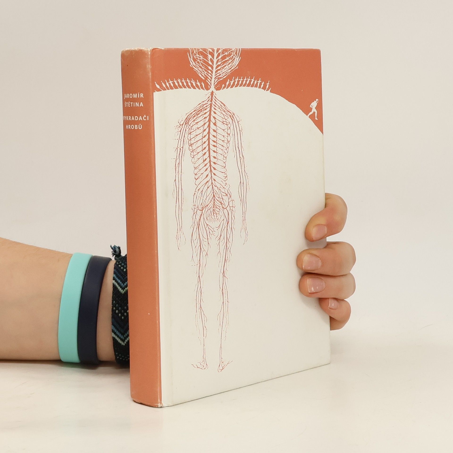 Jaromír Štětina Vykradači hrobů