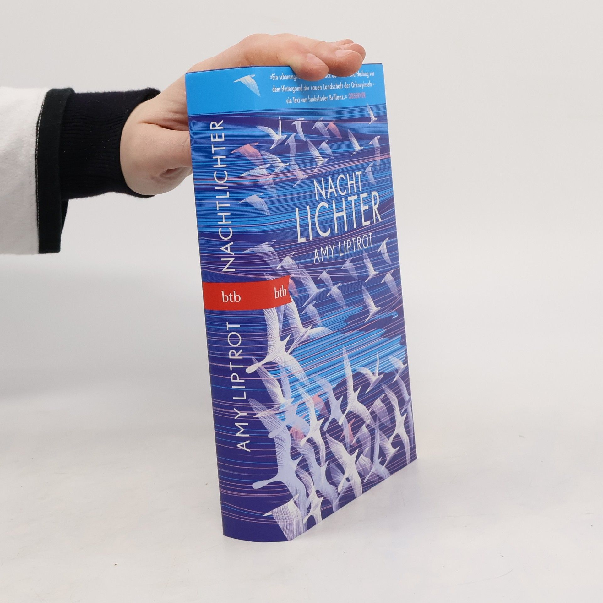 Amy Liptrot Nachtlichter
