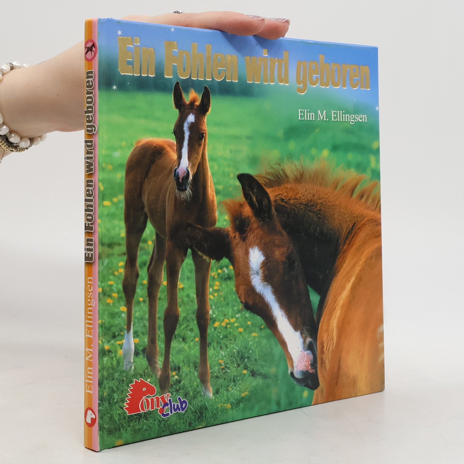 Elin M. Ellingsen Ein Fohlen wird geboren