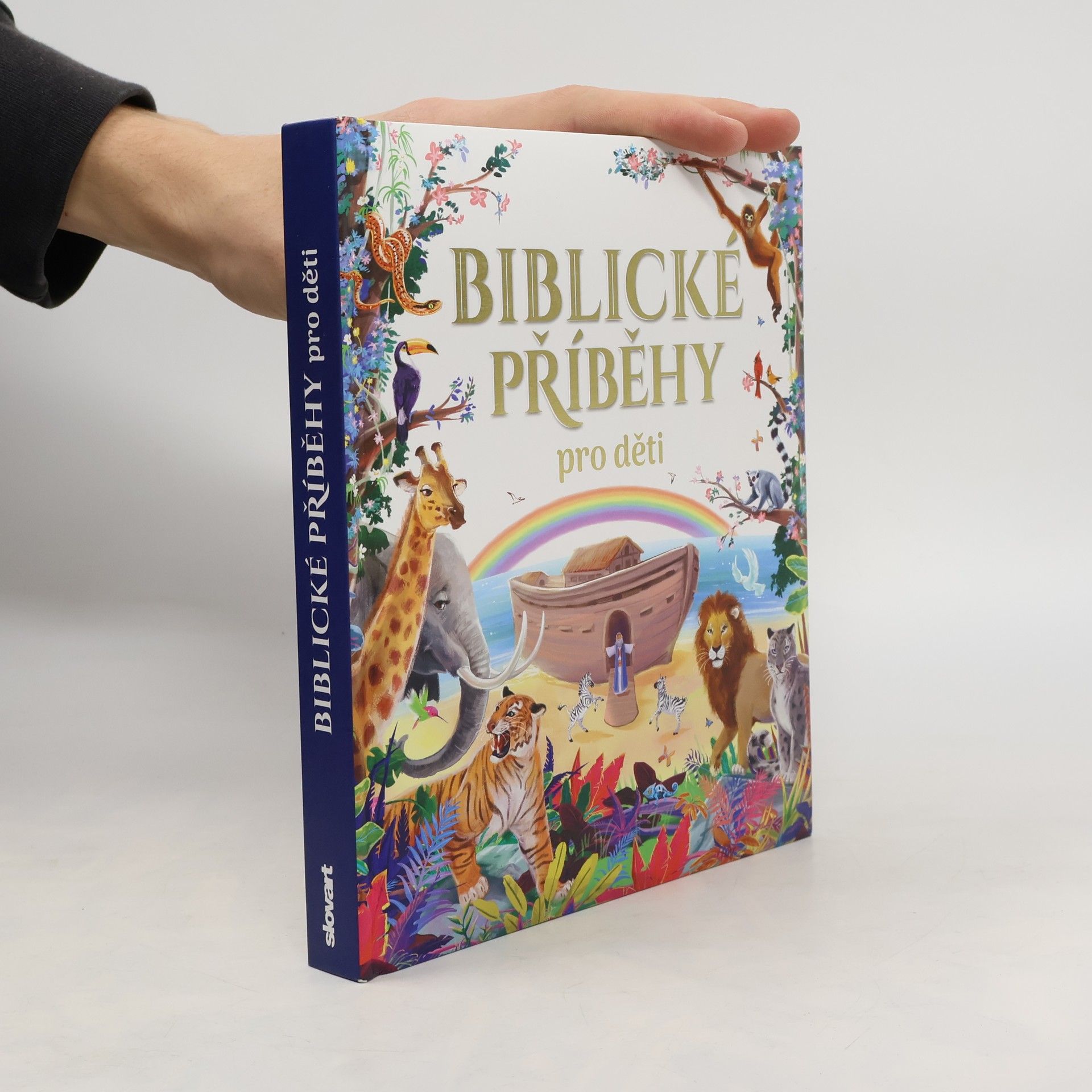 Barbora Viková Biblické příběhy pro děti