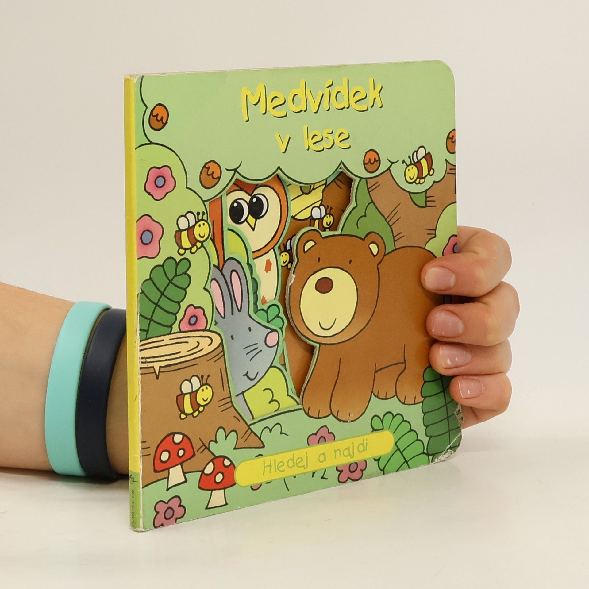 AA.VV. Medvídek v lese