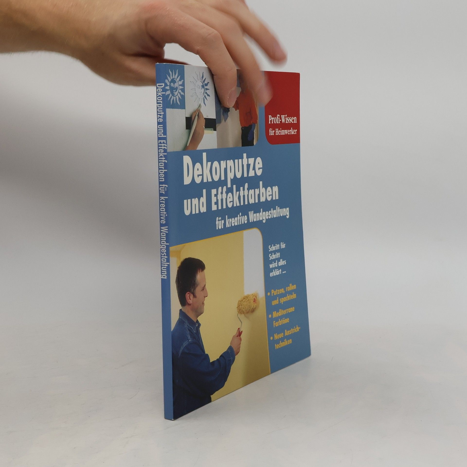 Collectif d'auteurs Dekorputze und Effektfarben für kreative Wandgestaltung