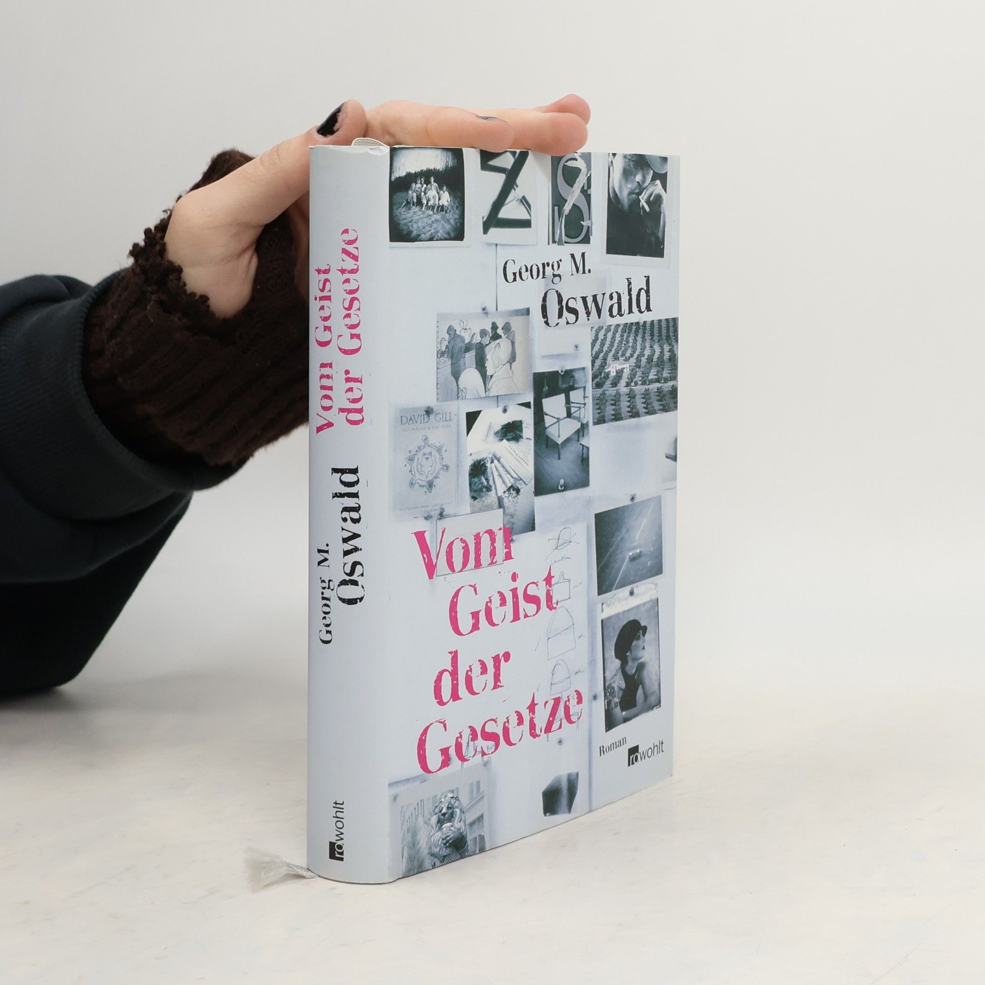 Georg M. Oswald Vom Geist der Gesetze