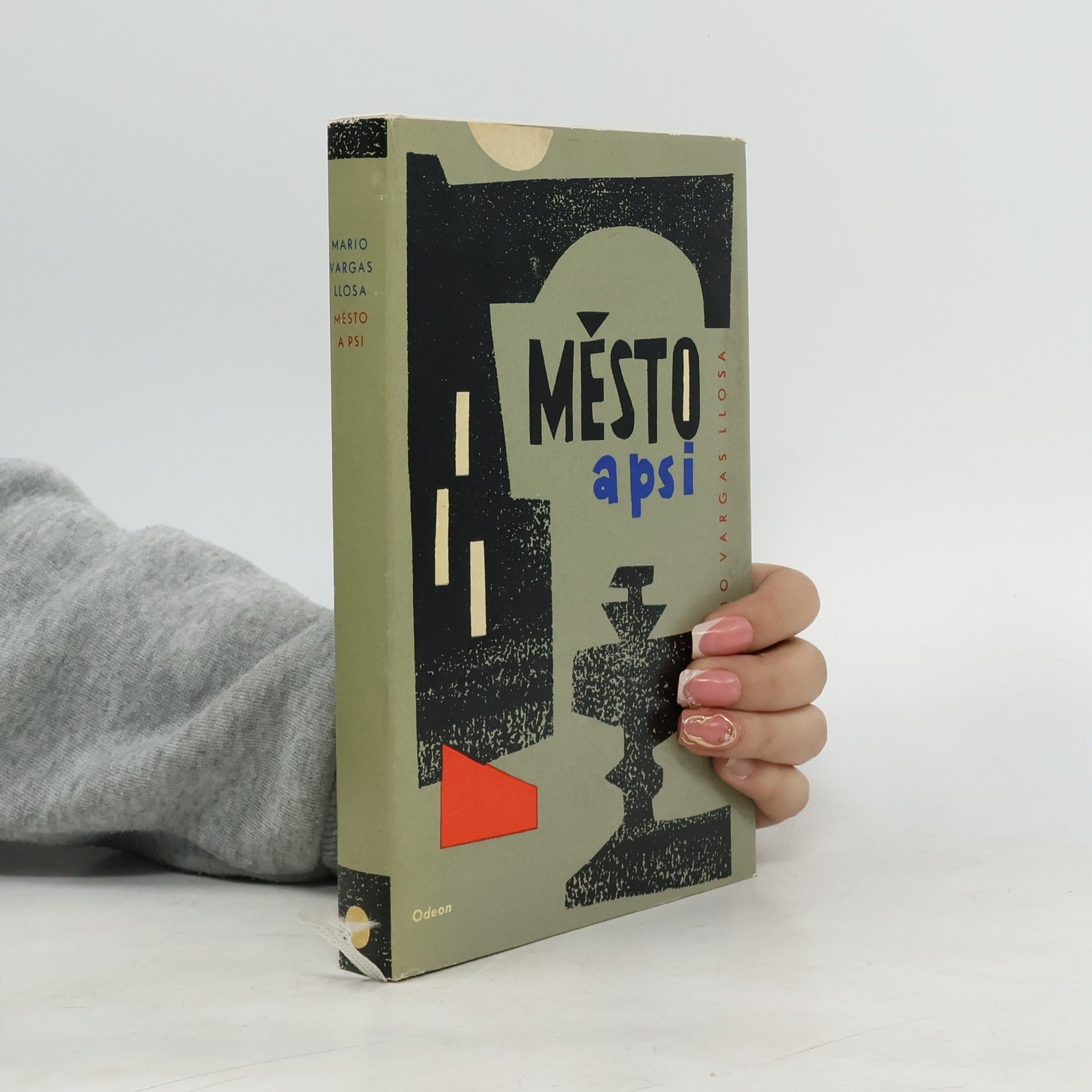 Mario Vargas Llosa Město a psi