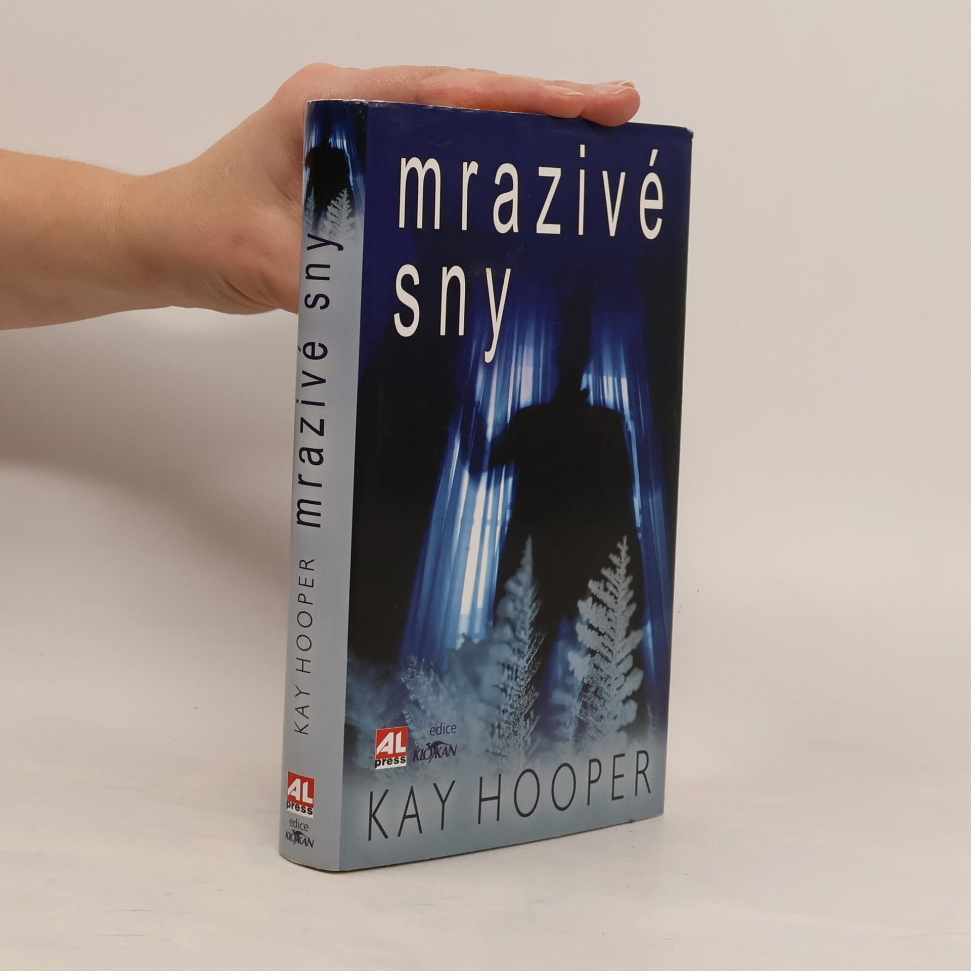 Kay Hooper Mrazivé sny