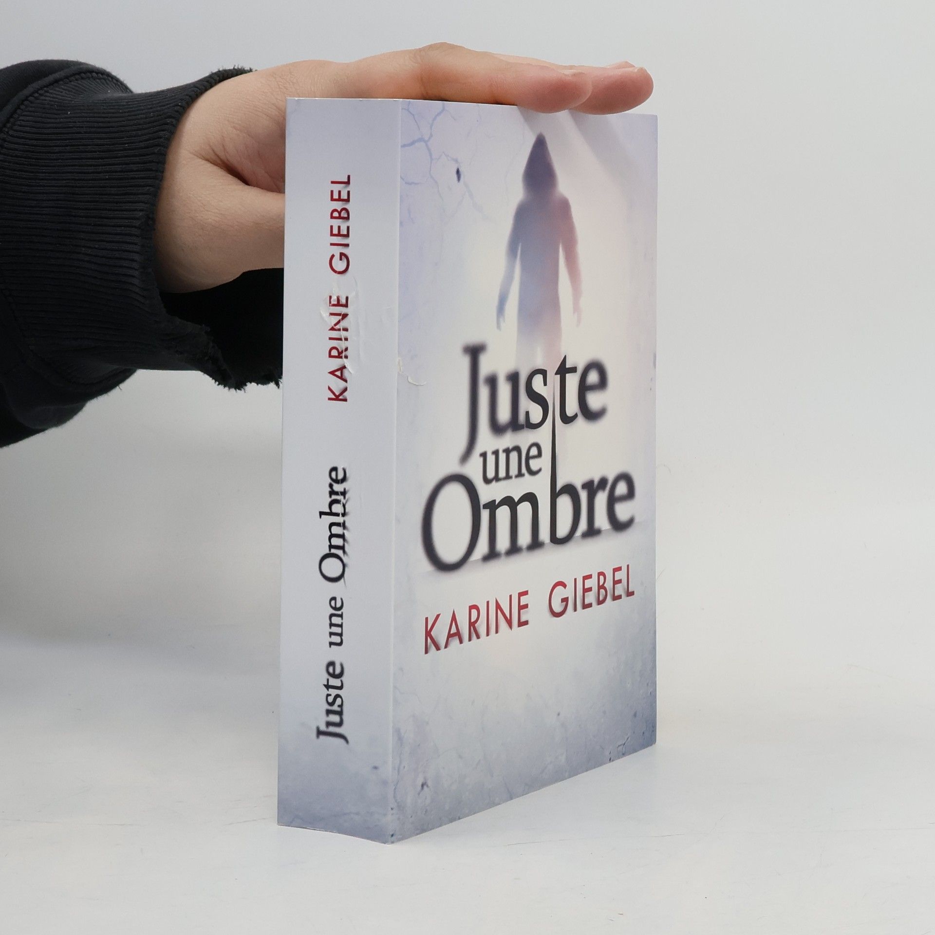 Karine Giebel Juste une ombre