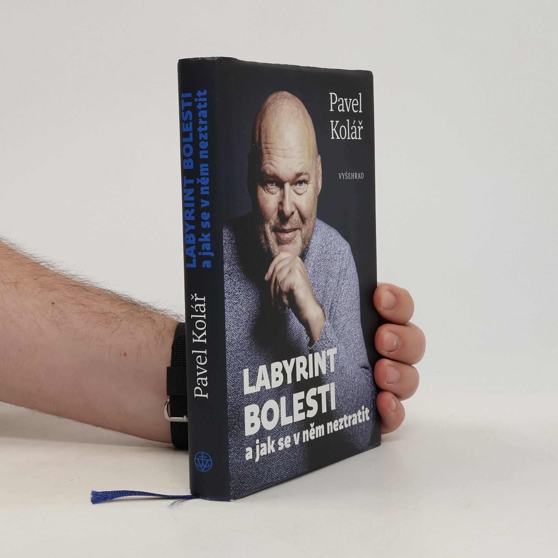 Pavel Kolář Labyrint bolesti a jak se v něm neztratit