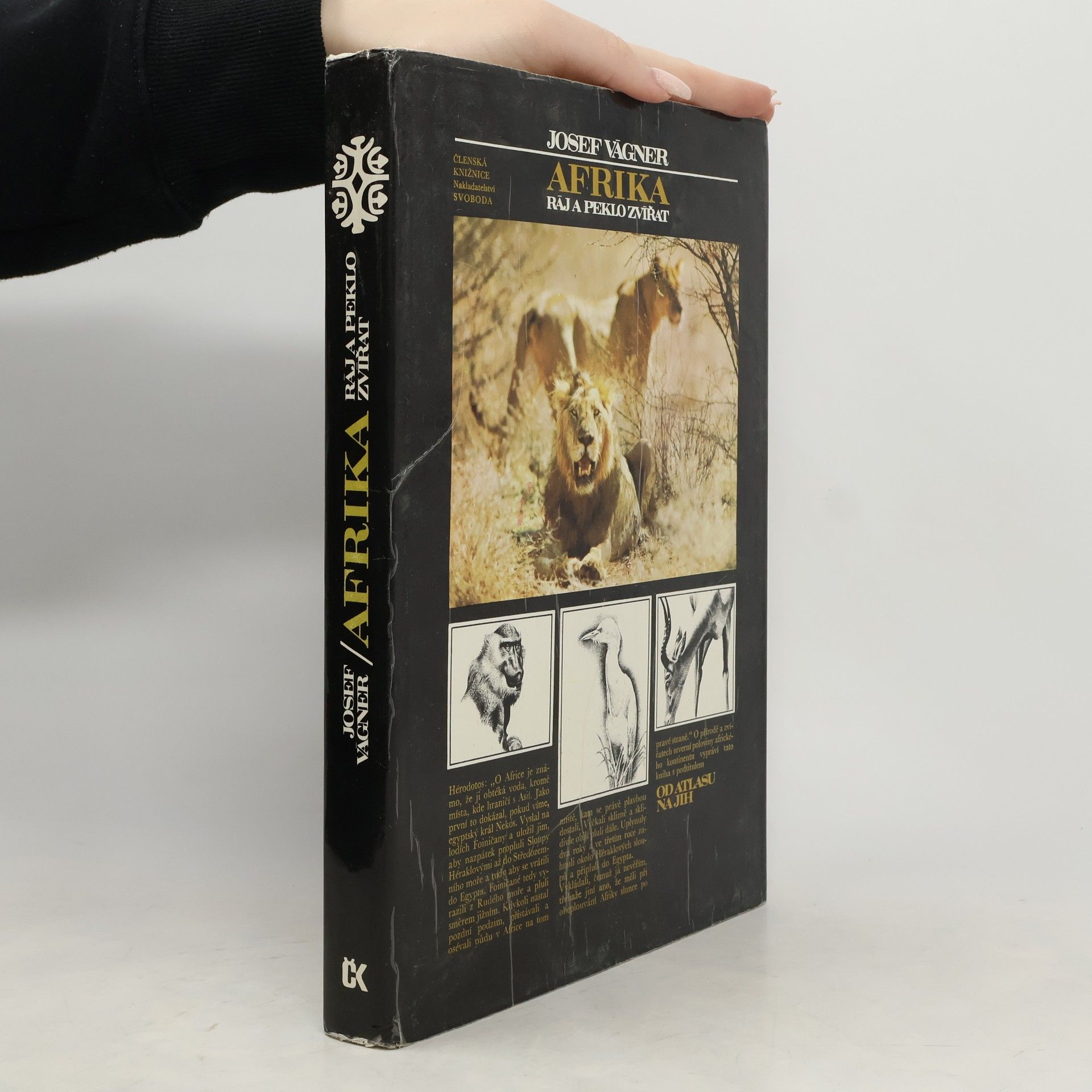 Josef Vágner Afrika. Ráj a peklo zvířat