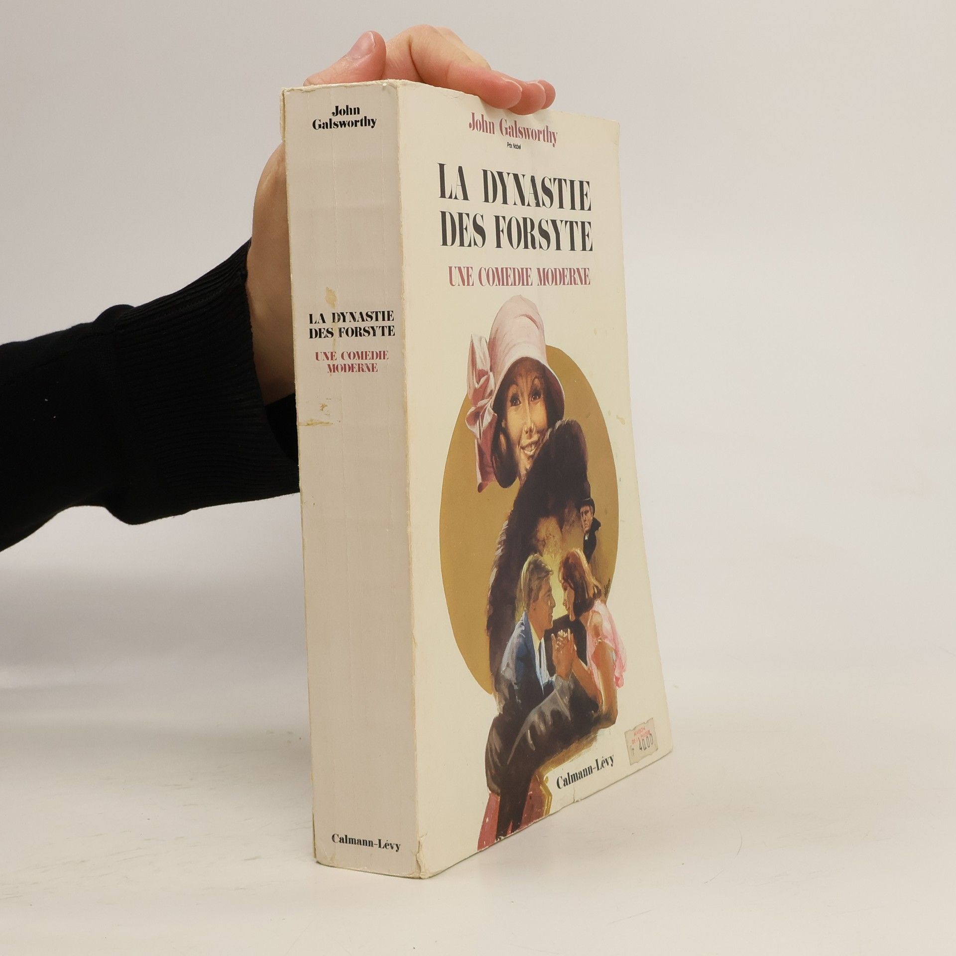 John Galsworthy La dynastie des Forsyte