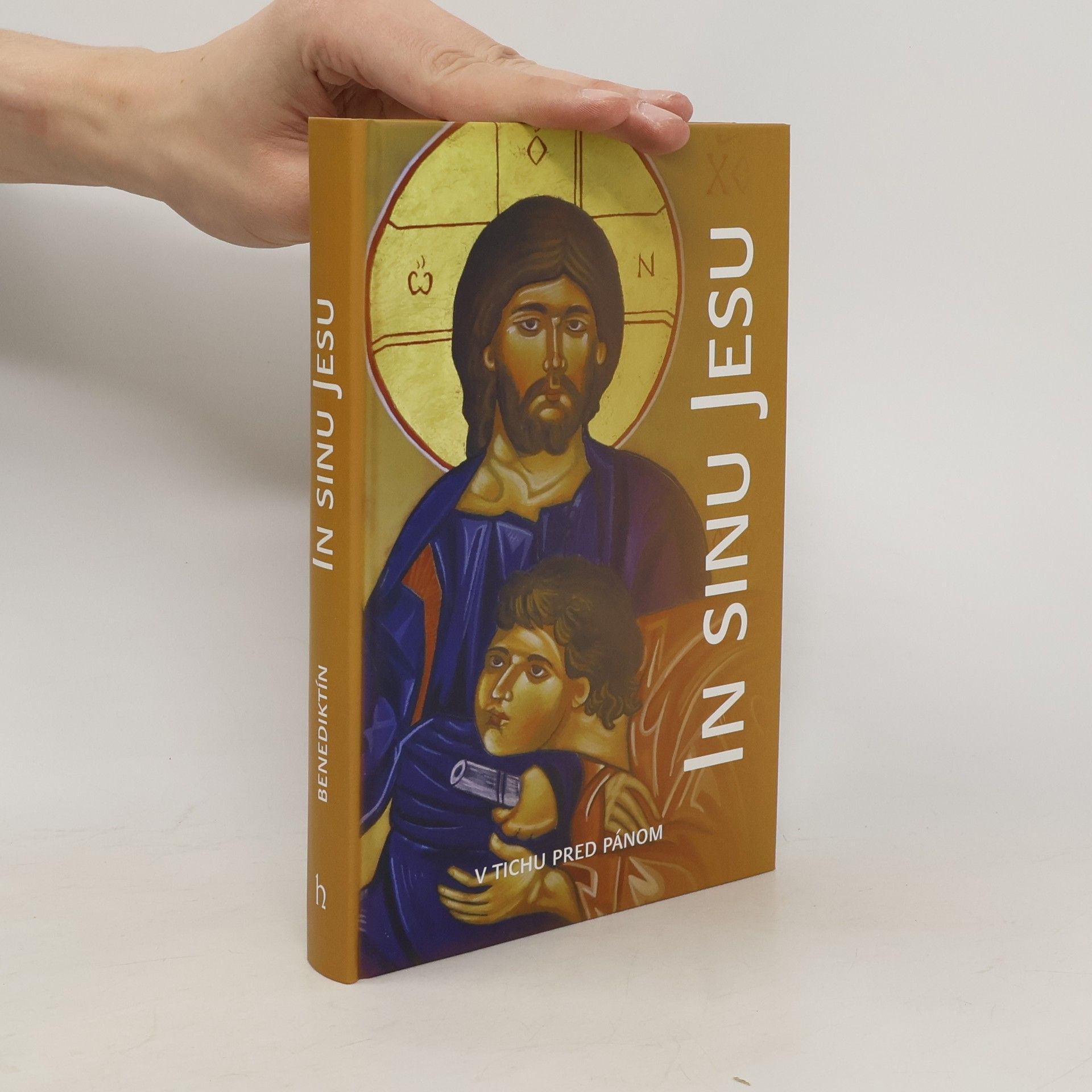 Kolektív autorov In sinu Jesu