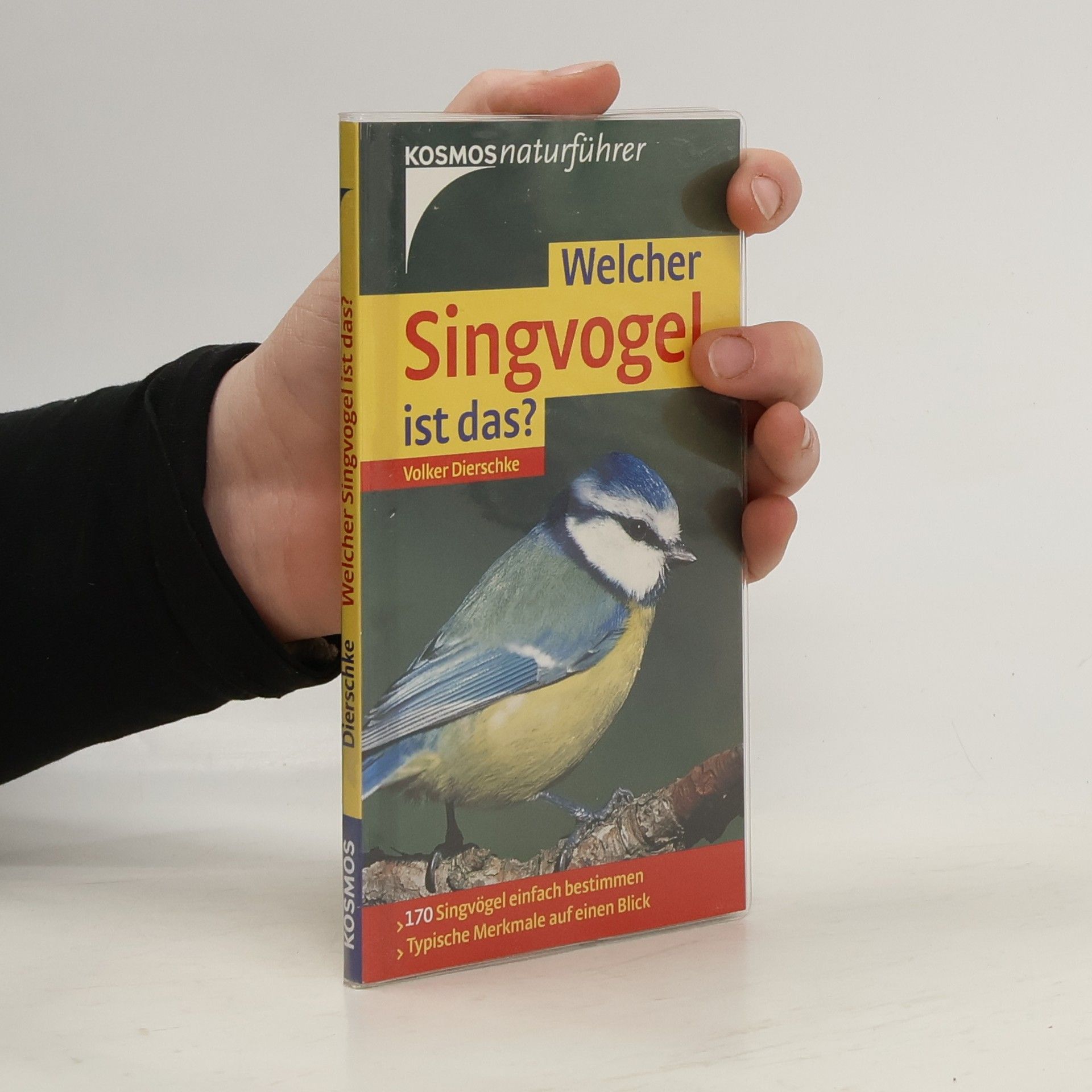 Volker Dierschke Welcher Singvogel ist das?