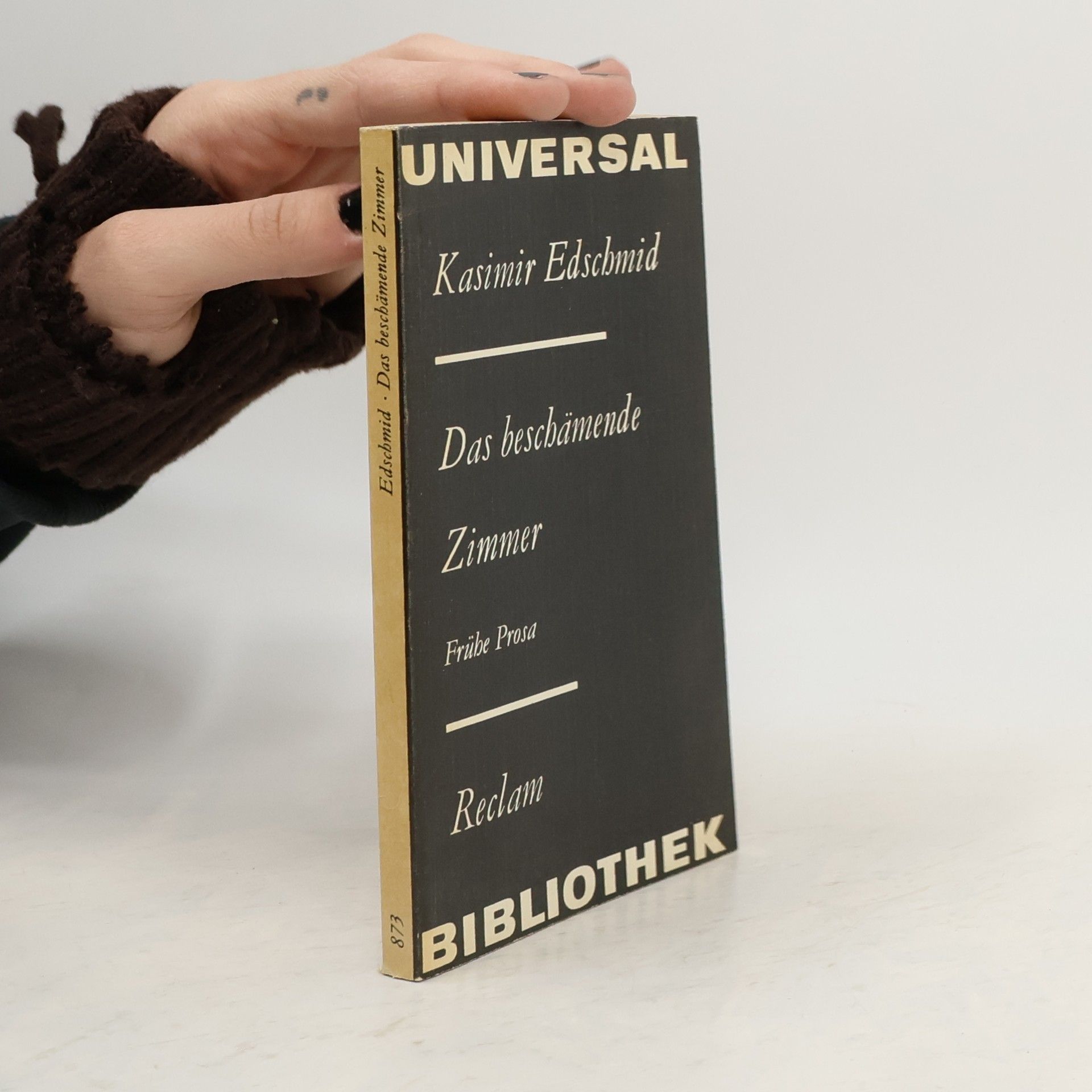 Kasimir Edschmid Das beschämende Zimmer