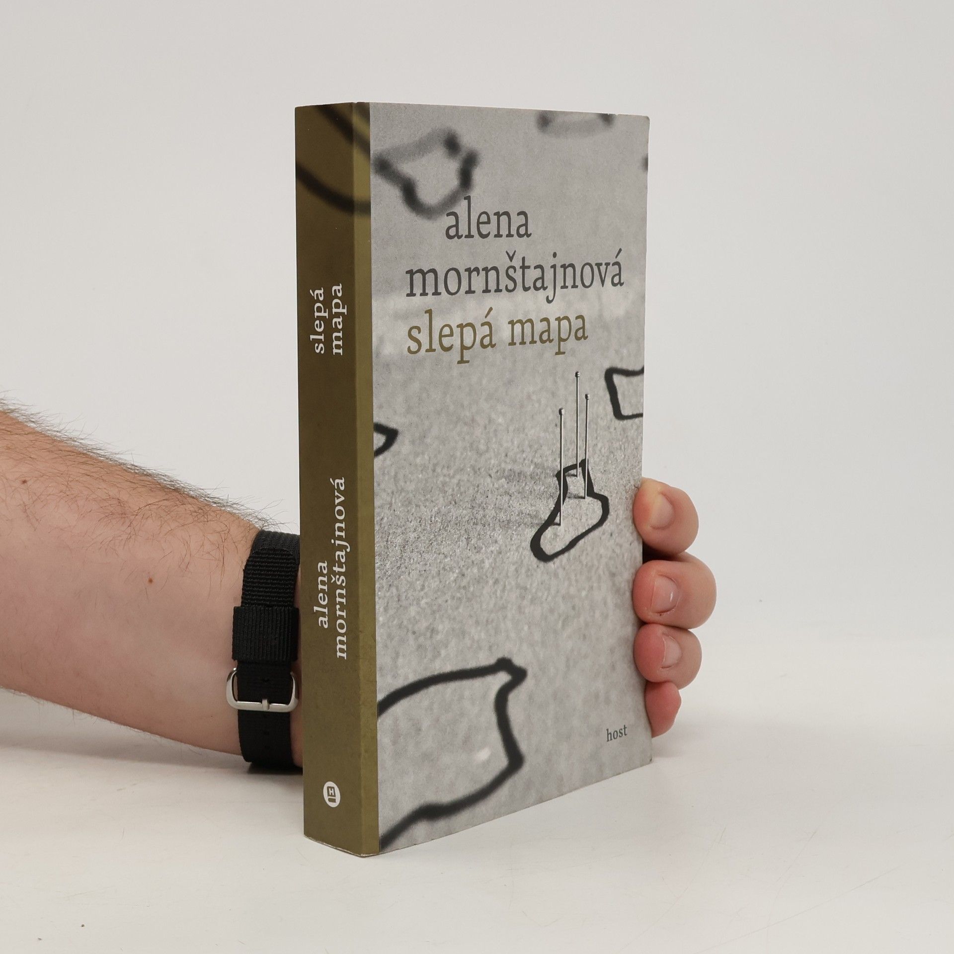 Alena Mornštajnová Slepá mapa